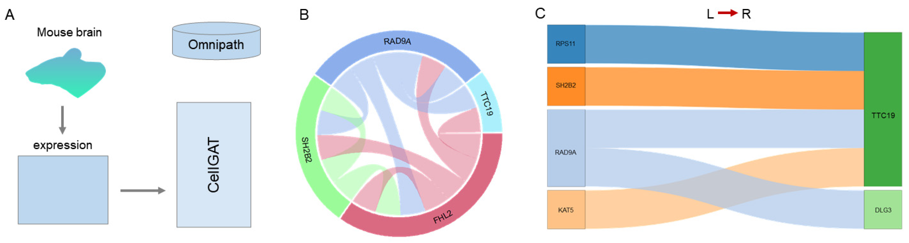 Biomolecules 15 00342 g006