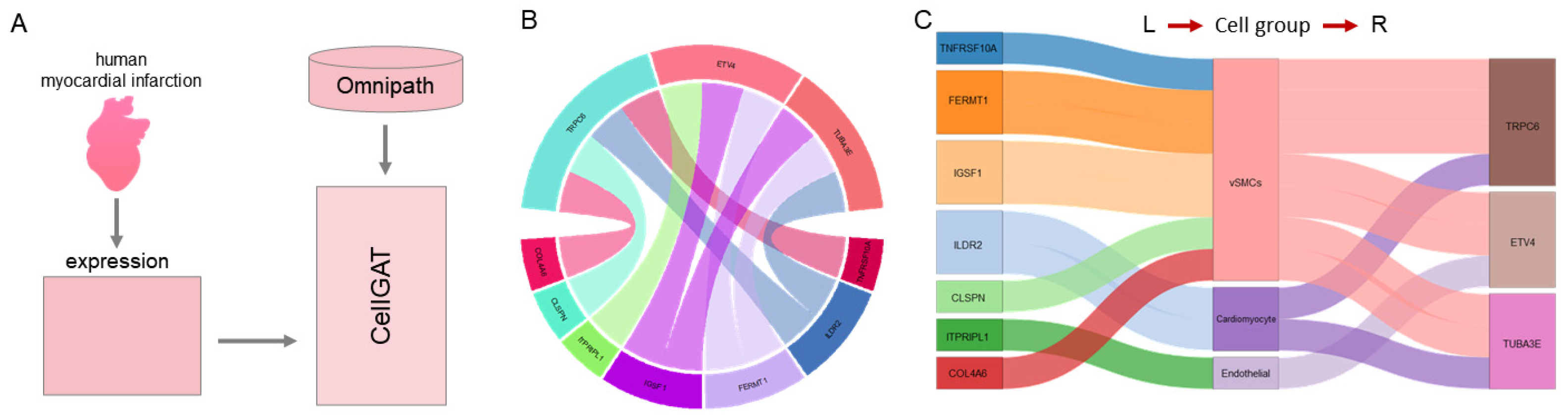 Biomolecules 15 00342 g007