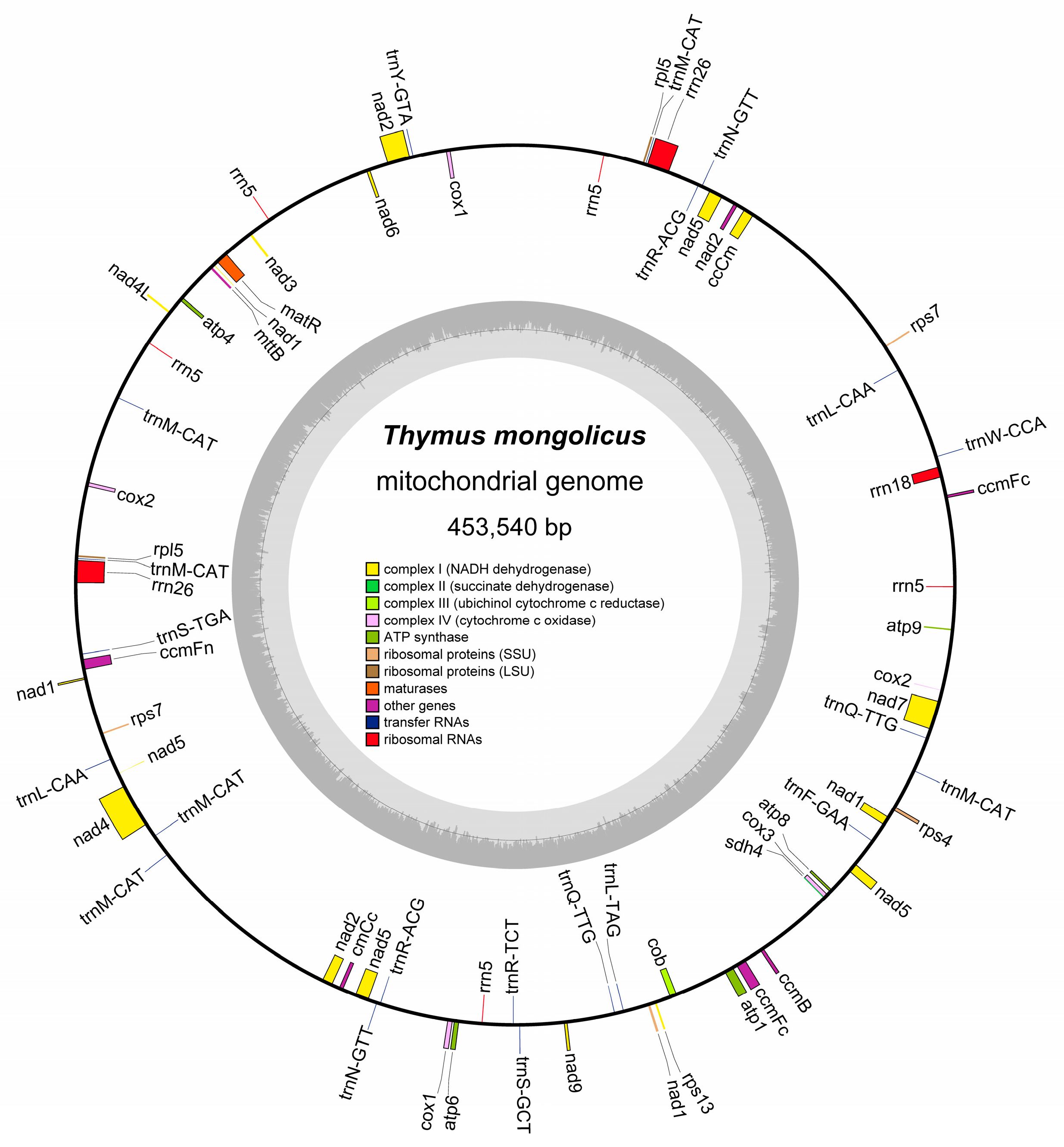Biomolecules 15 00343 g001