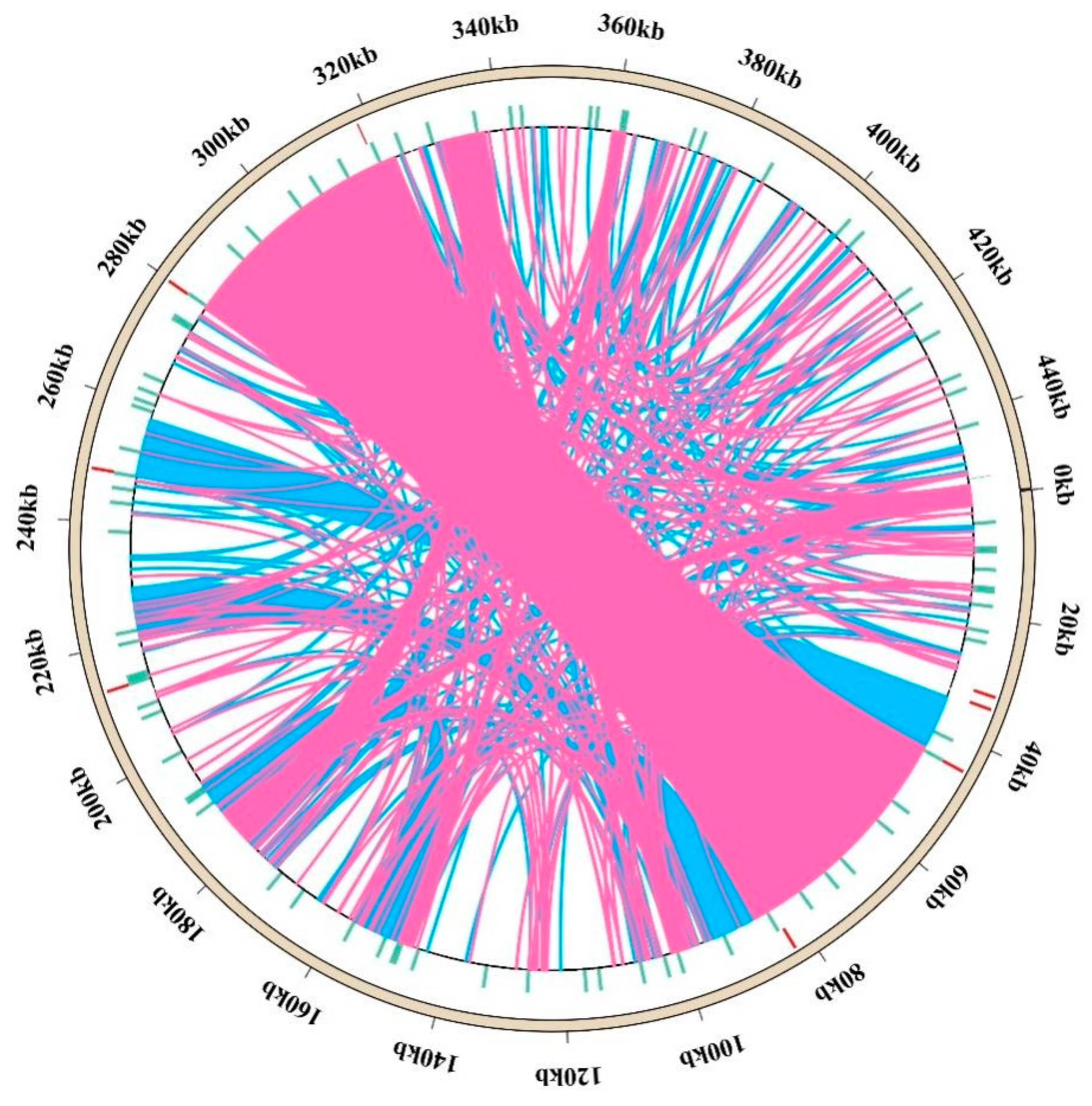 Biomolecules 15 00343 g004
