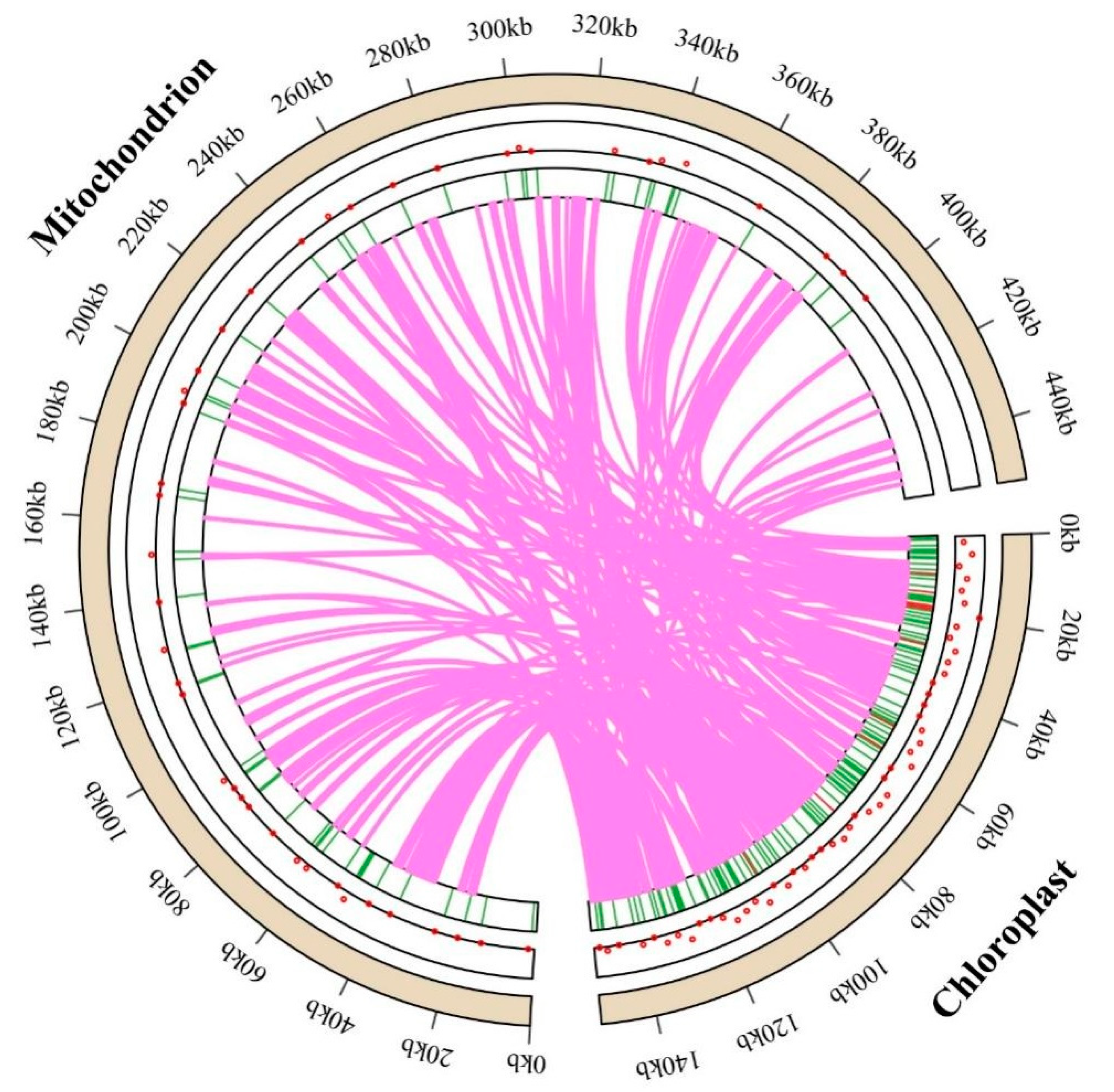 Biomolecules 15 00343 g008