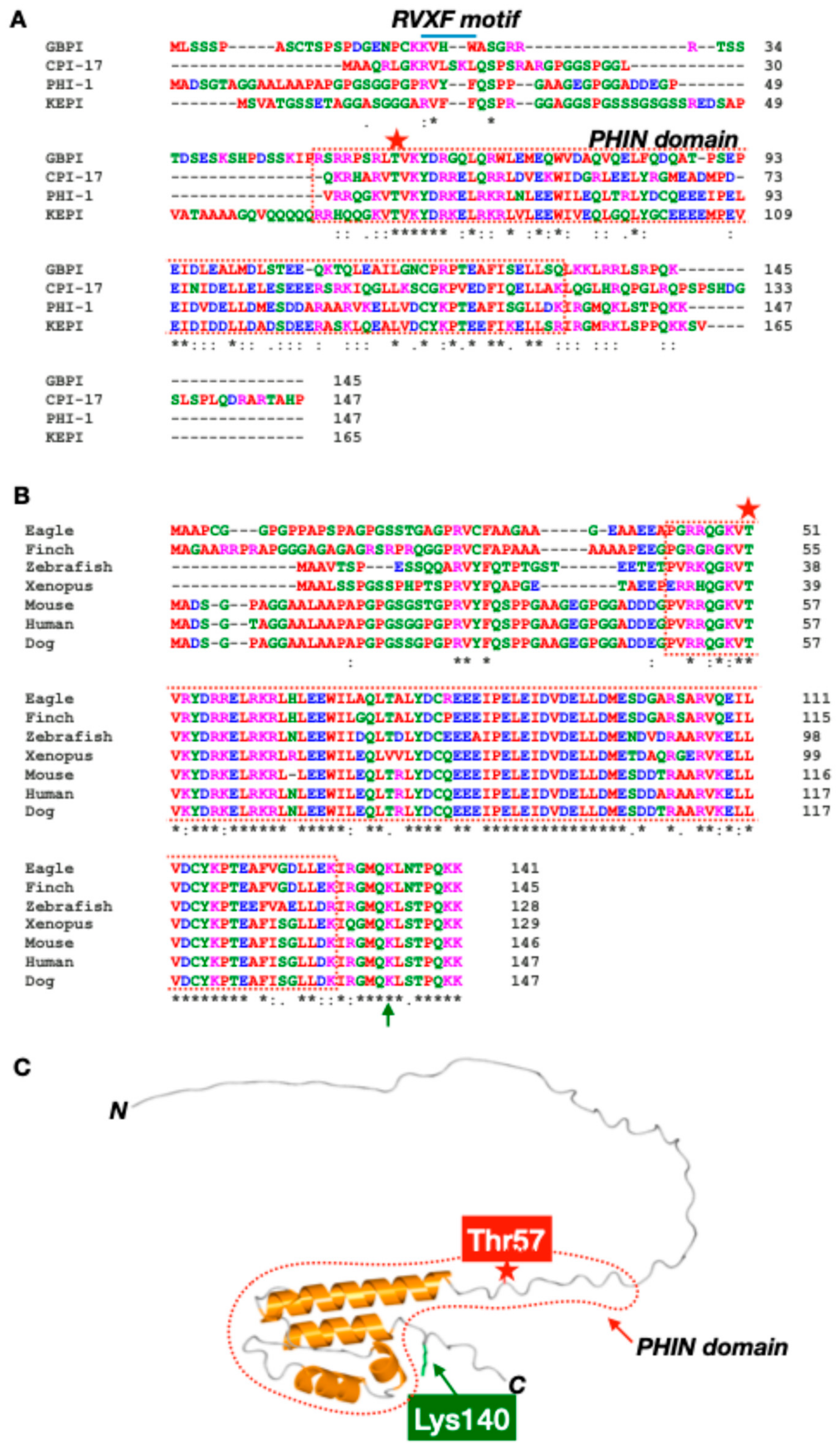 Biomolecules 15 00344 g001 Biomolecules 15 00344 g001