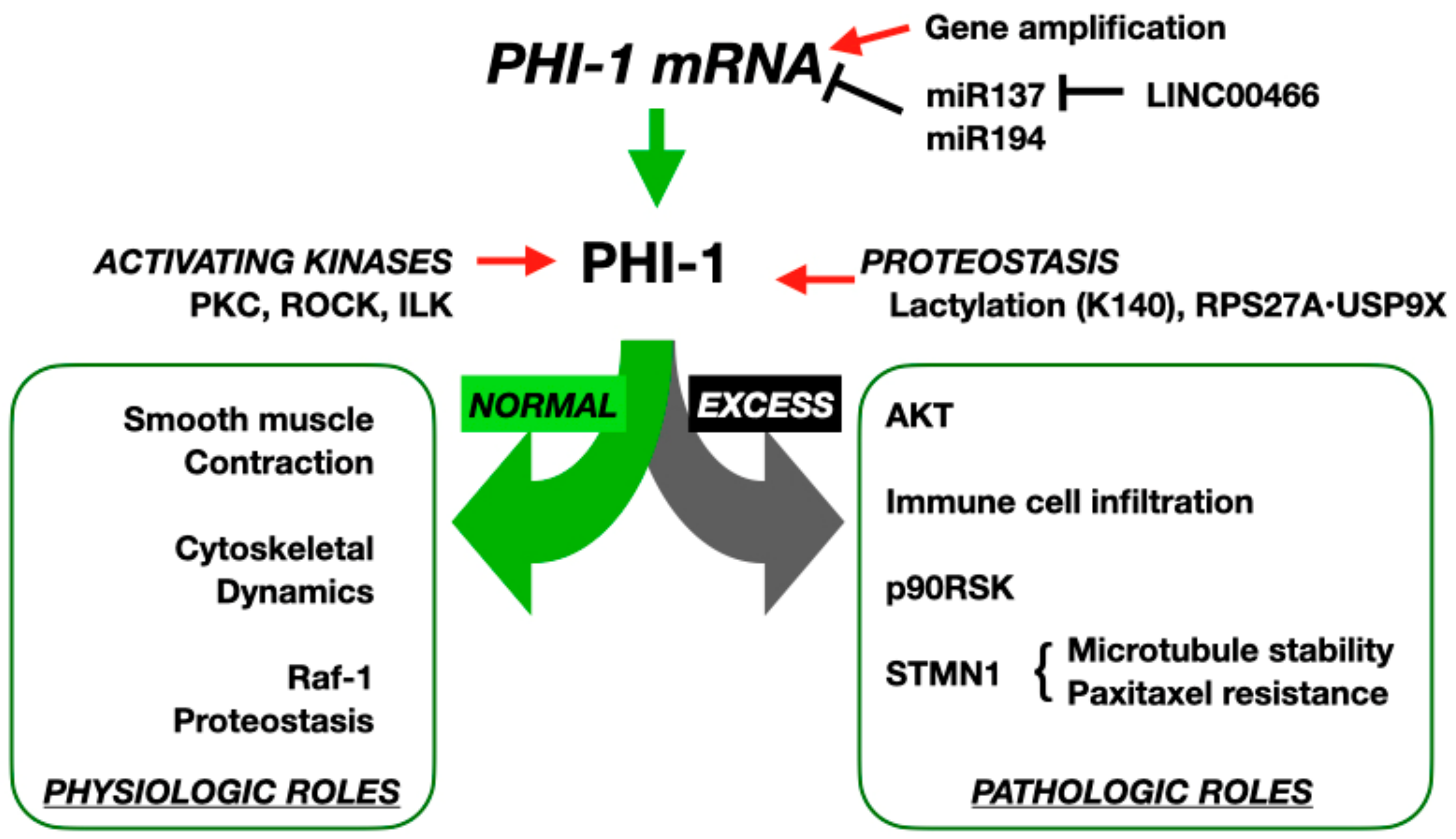 Biomolecules 15 00344 g002 Biomolecules 15 00344 g002