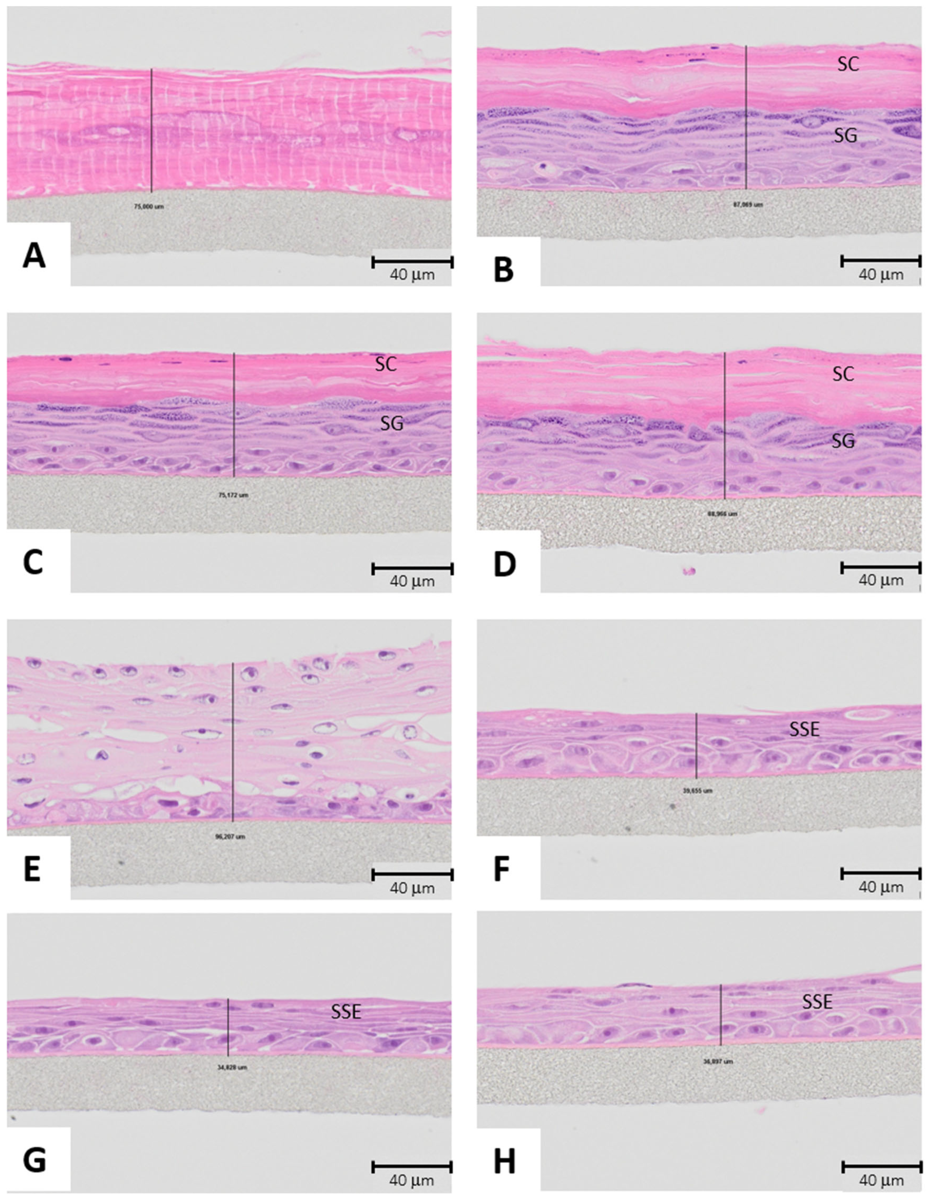 Biomolecules 15 00345 g008