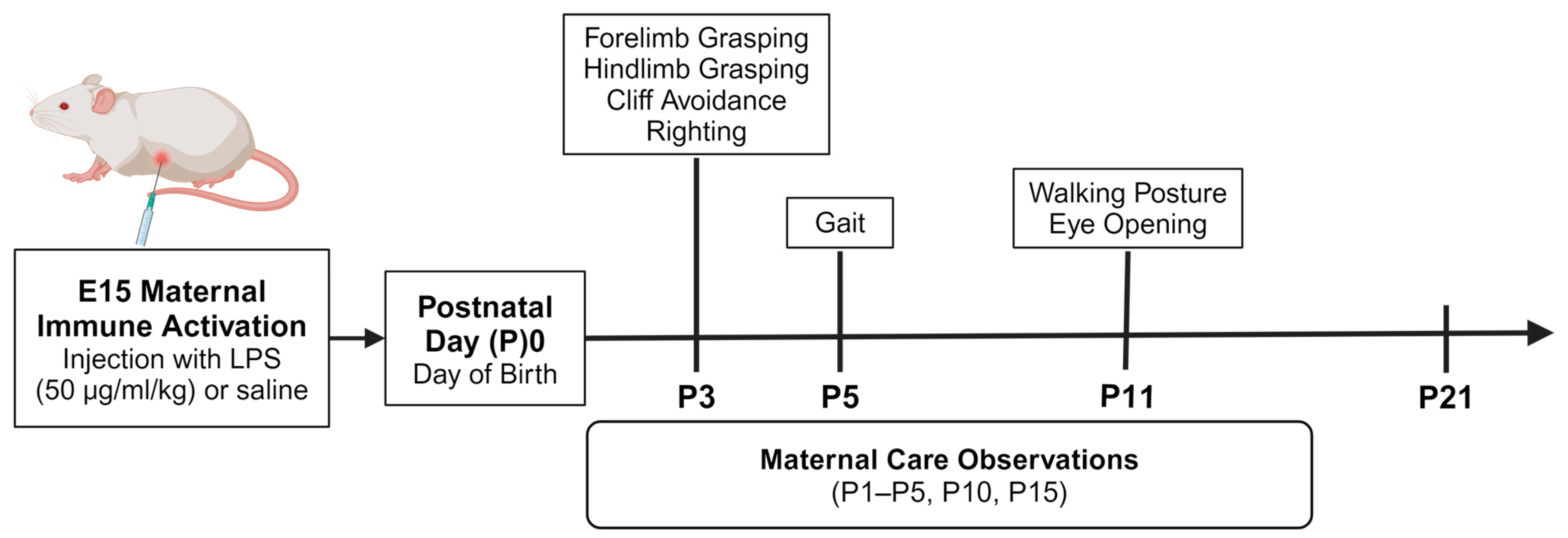 Biomolecules 15 00347 g001