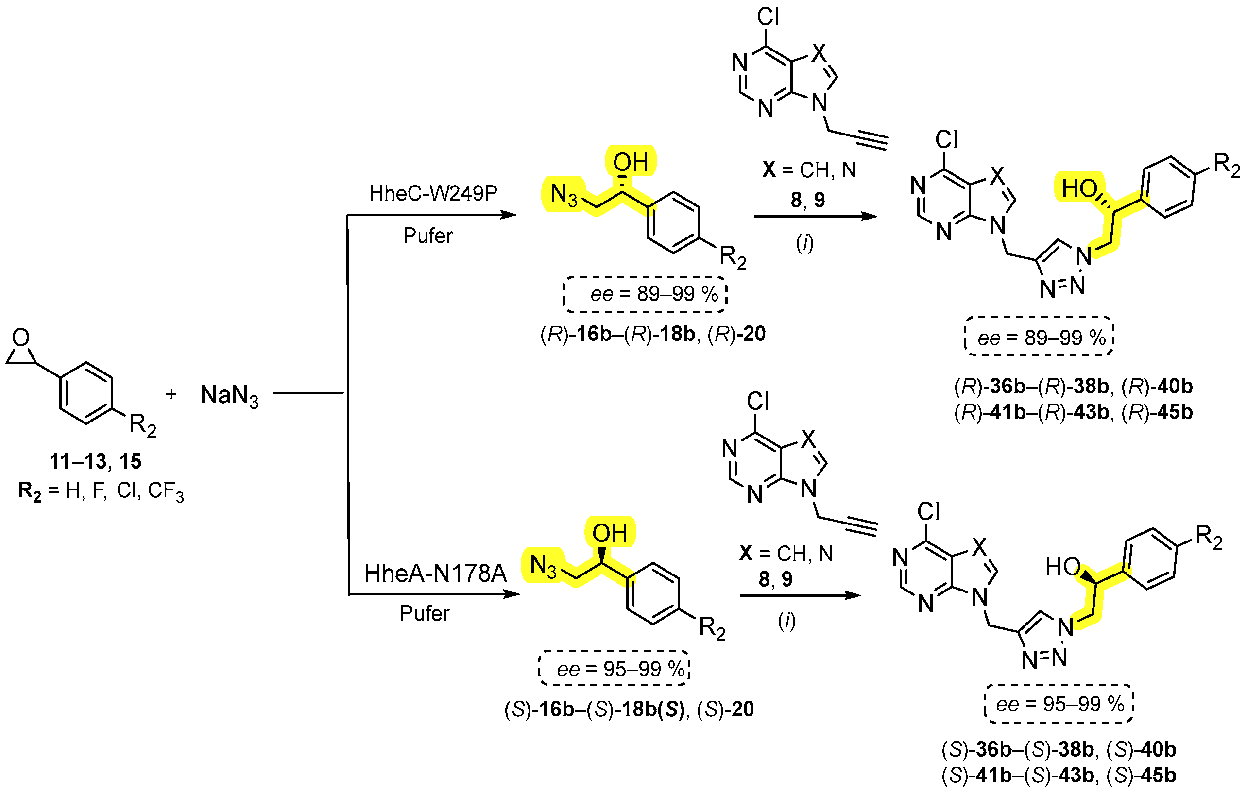 Biomolecules 15 00351 sch002