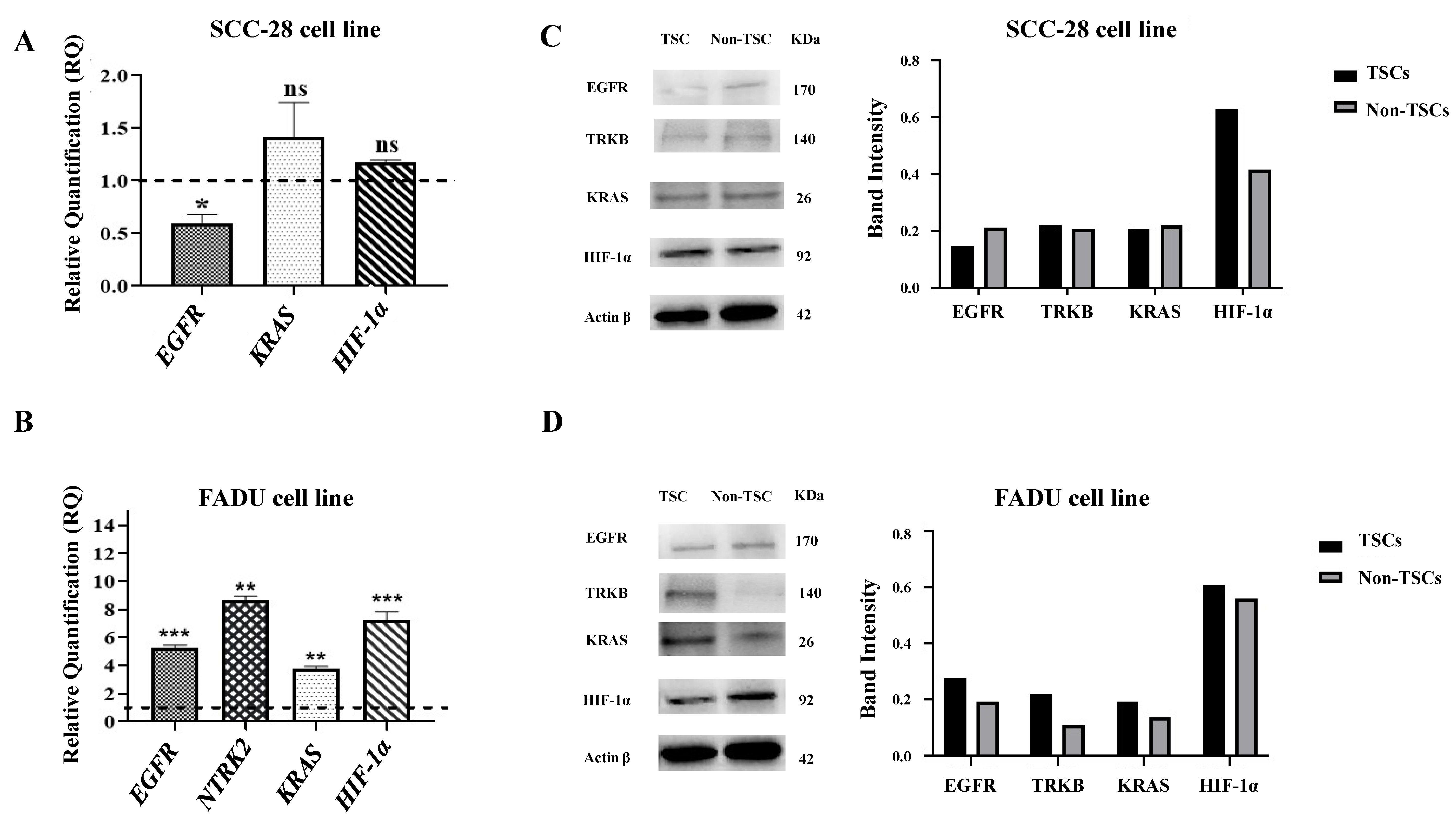 Biomolecules 15 00352 g004