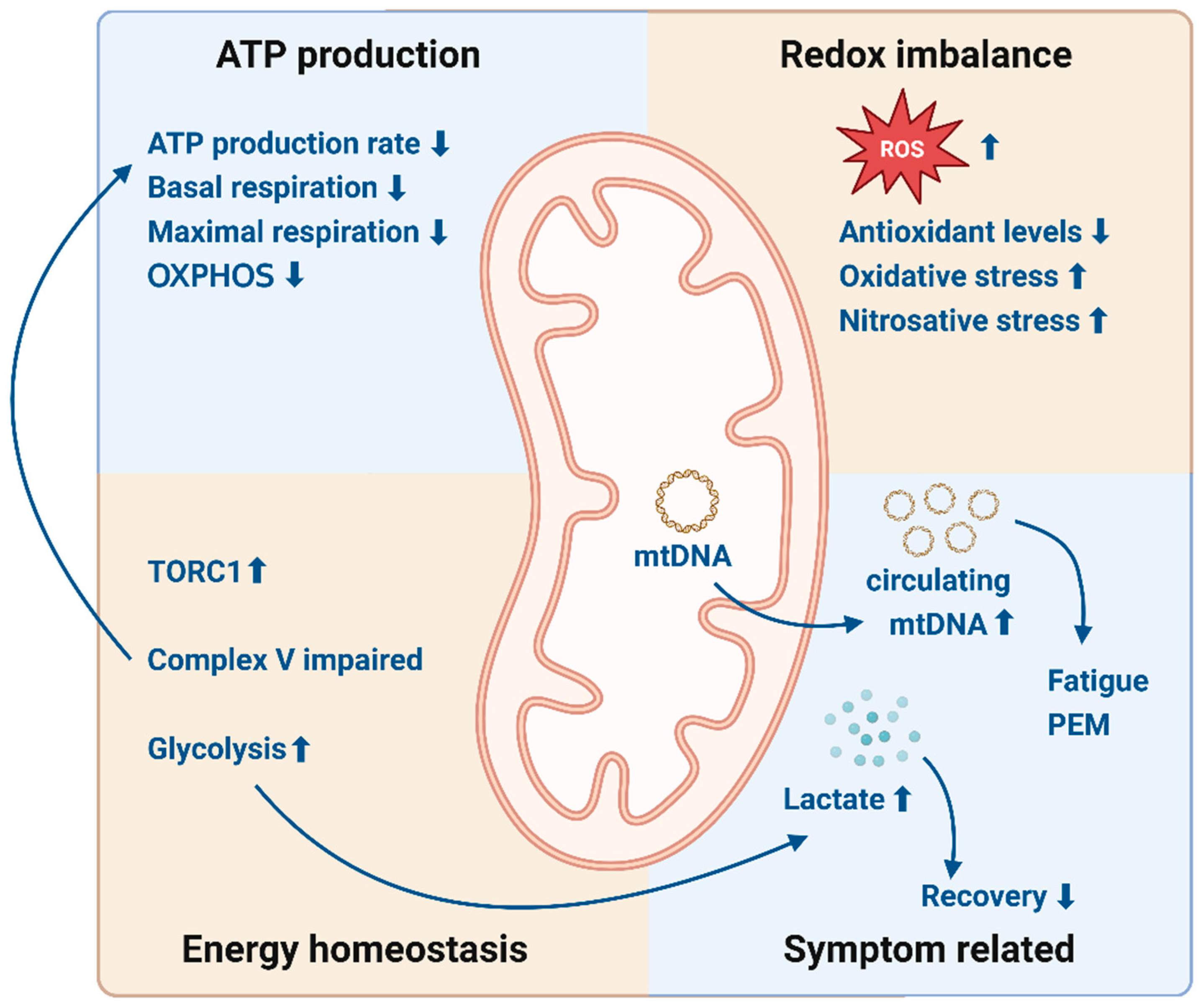 Biomolecules 15 00357 g001