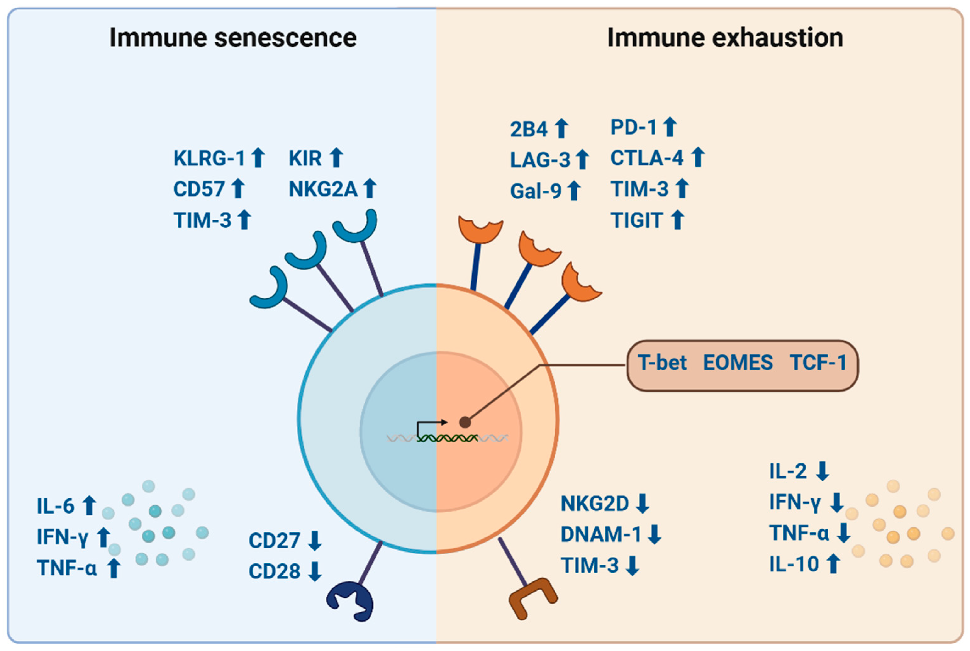 Biomolecules 15 00357 g002