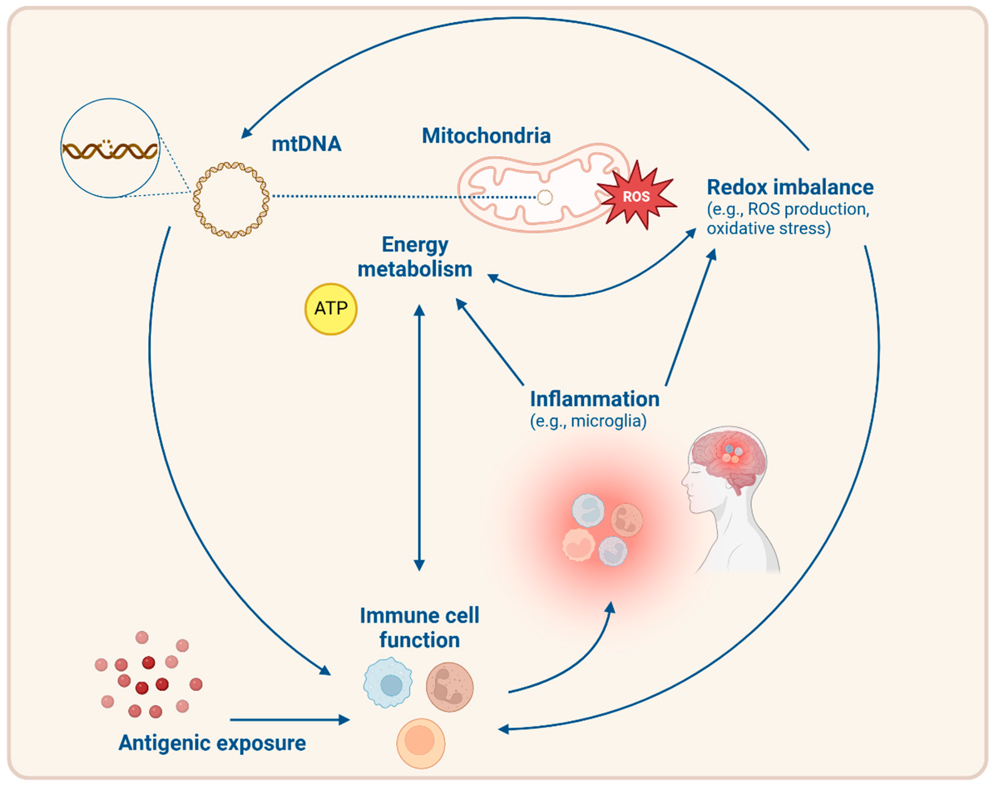 Biomolecules 15 00357 g003