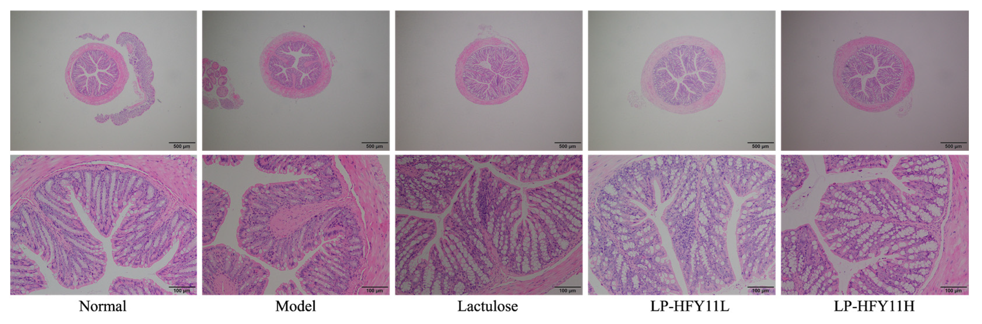 Biomolecules 15 00358 g003