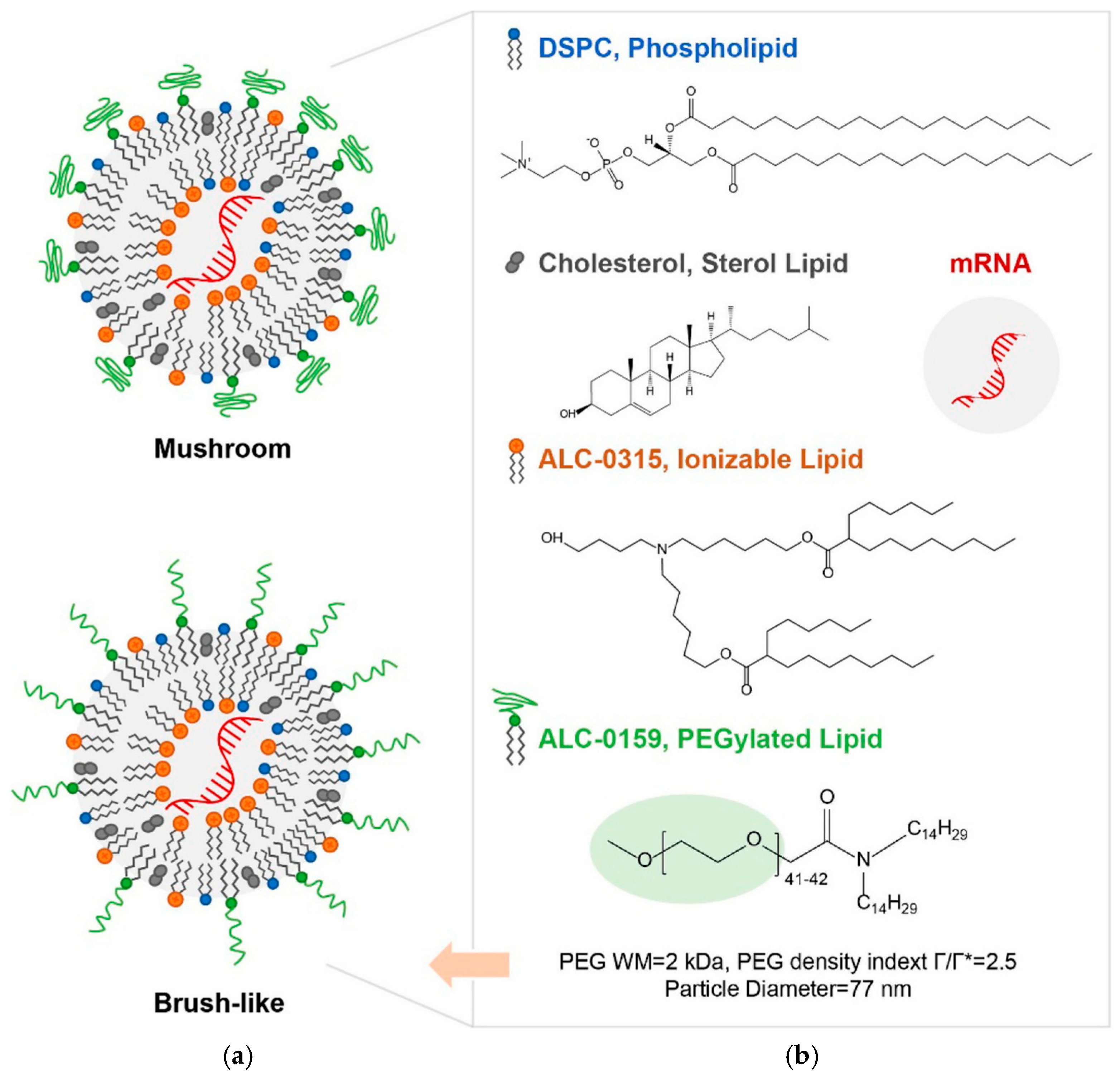 Biomolecules 15 00359 g001