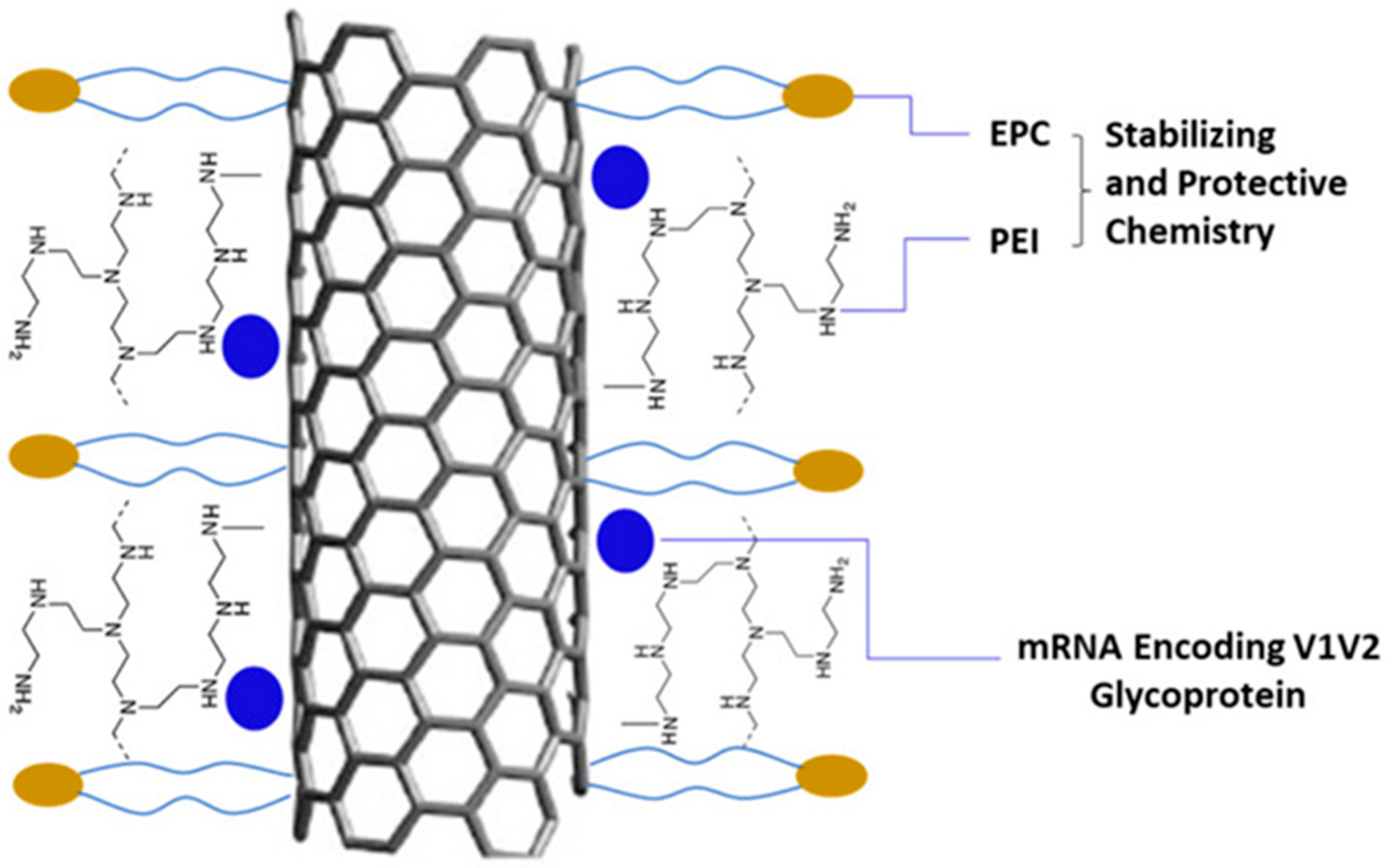 Biomolecules 15 00359 g008