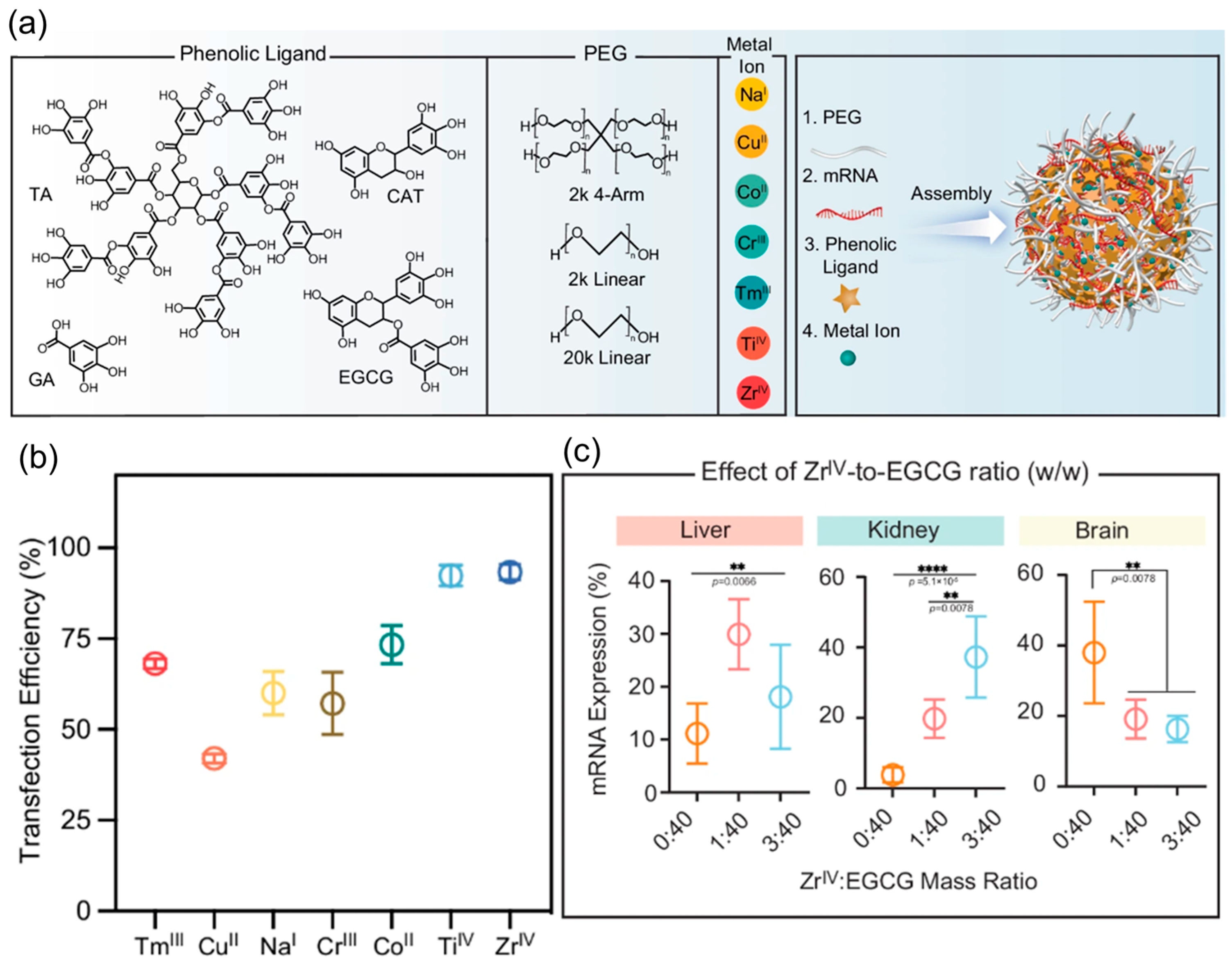 Biomolecules 15 00359 g009