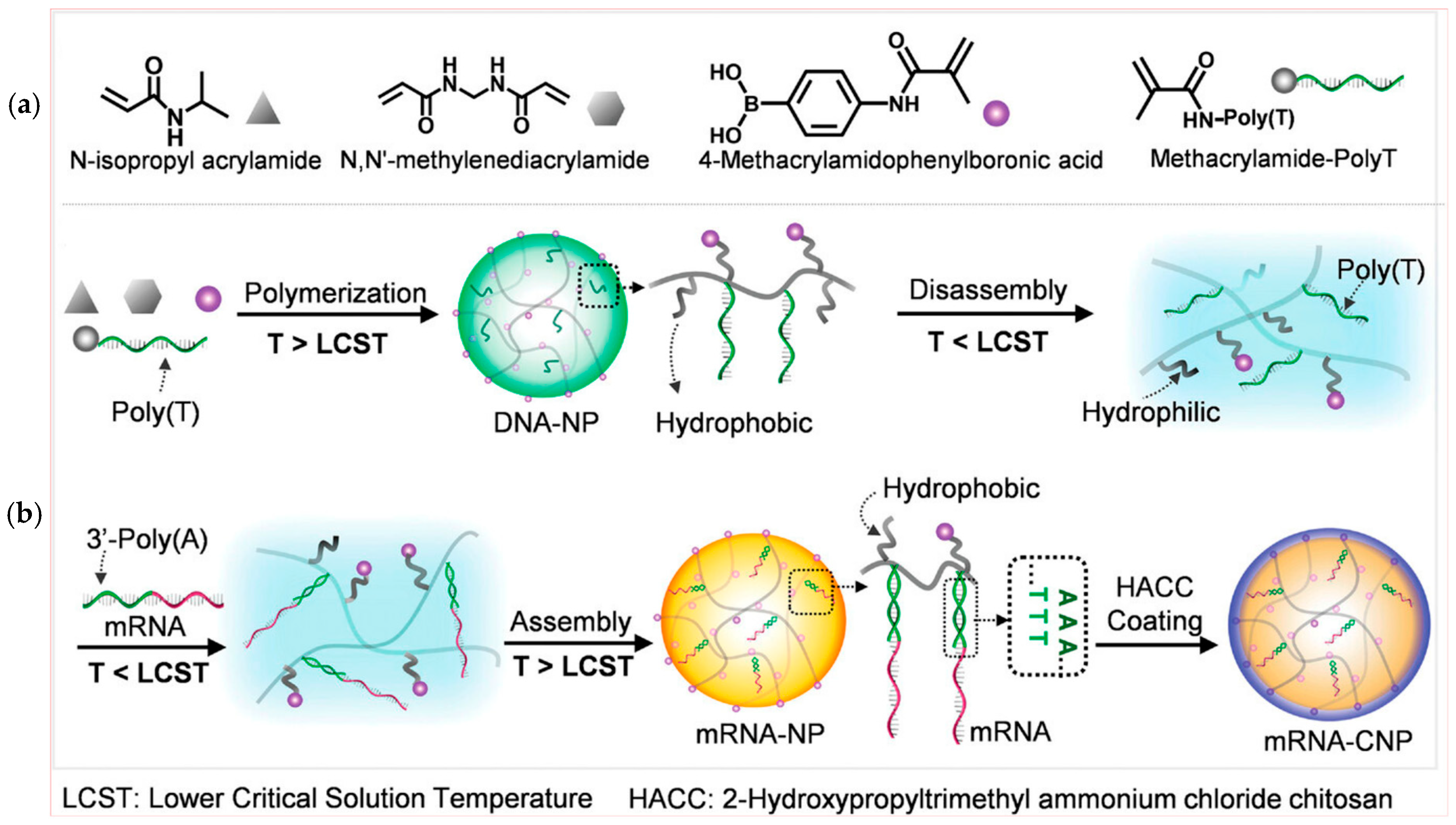 Biomolecules 15 00359 g011
