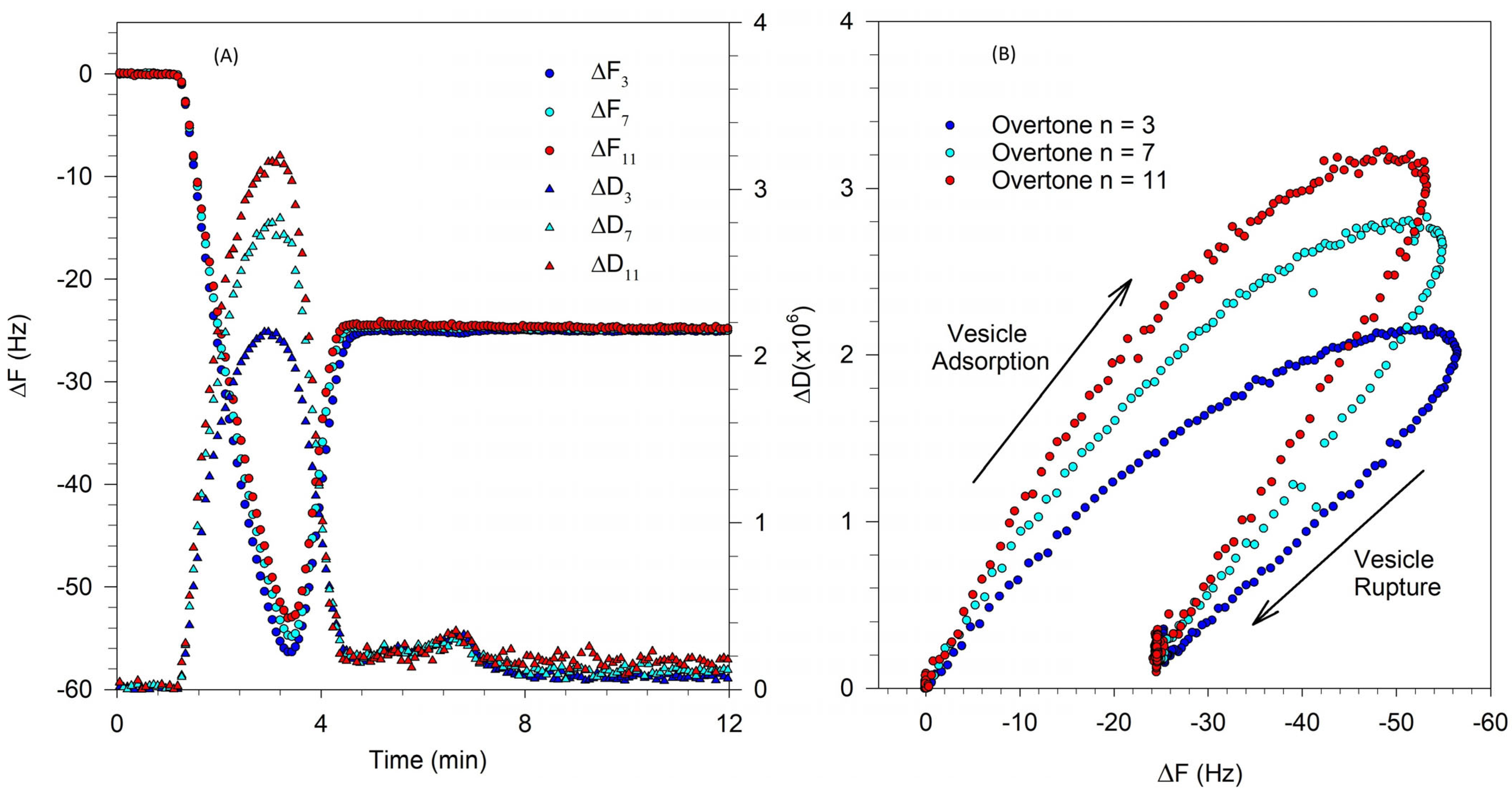 Biomolecules 15 00362 g002