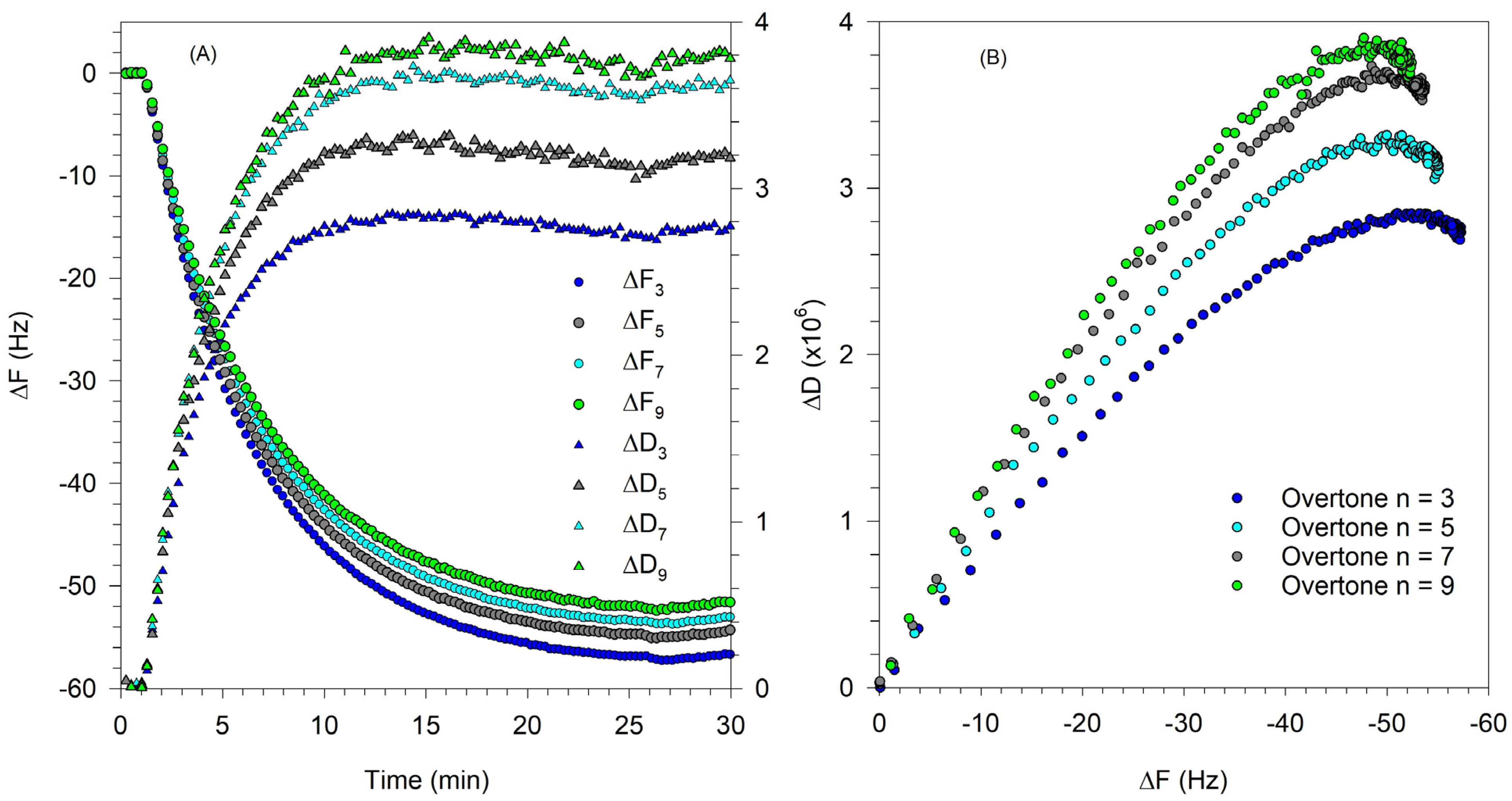 Biomolecules 15 00362 g006