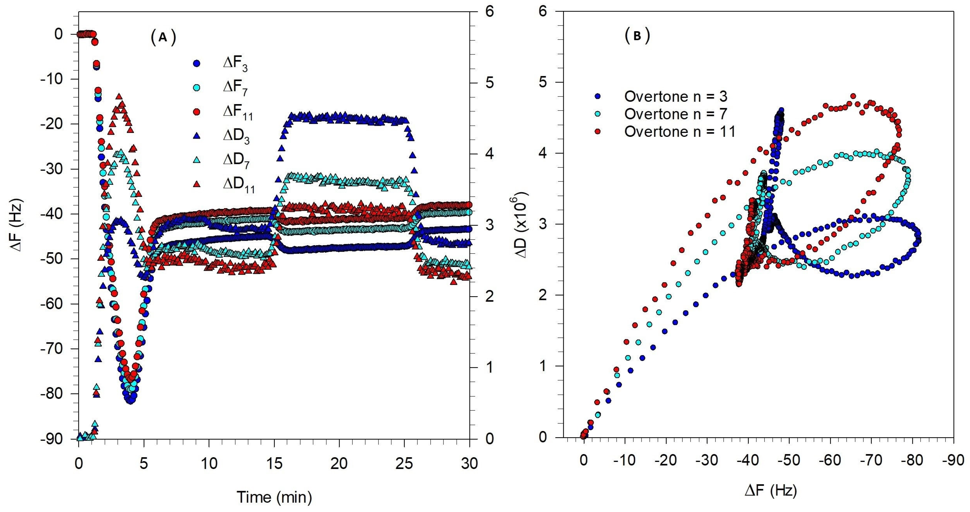 Biomolecules 15 00362 g010
