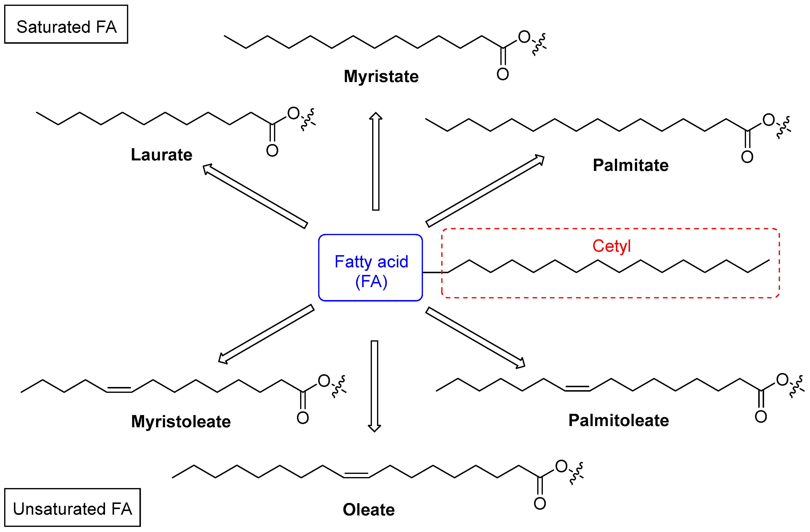 Biomolecules 15 00363 g001