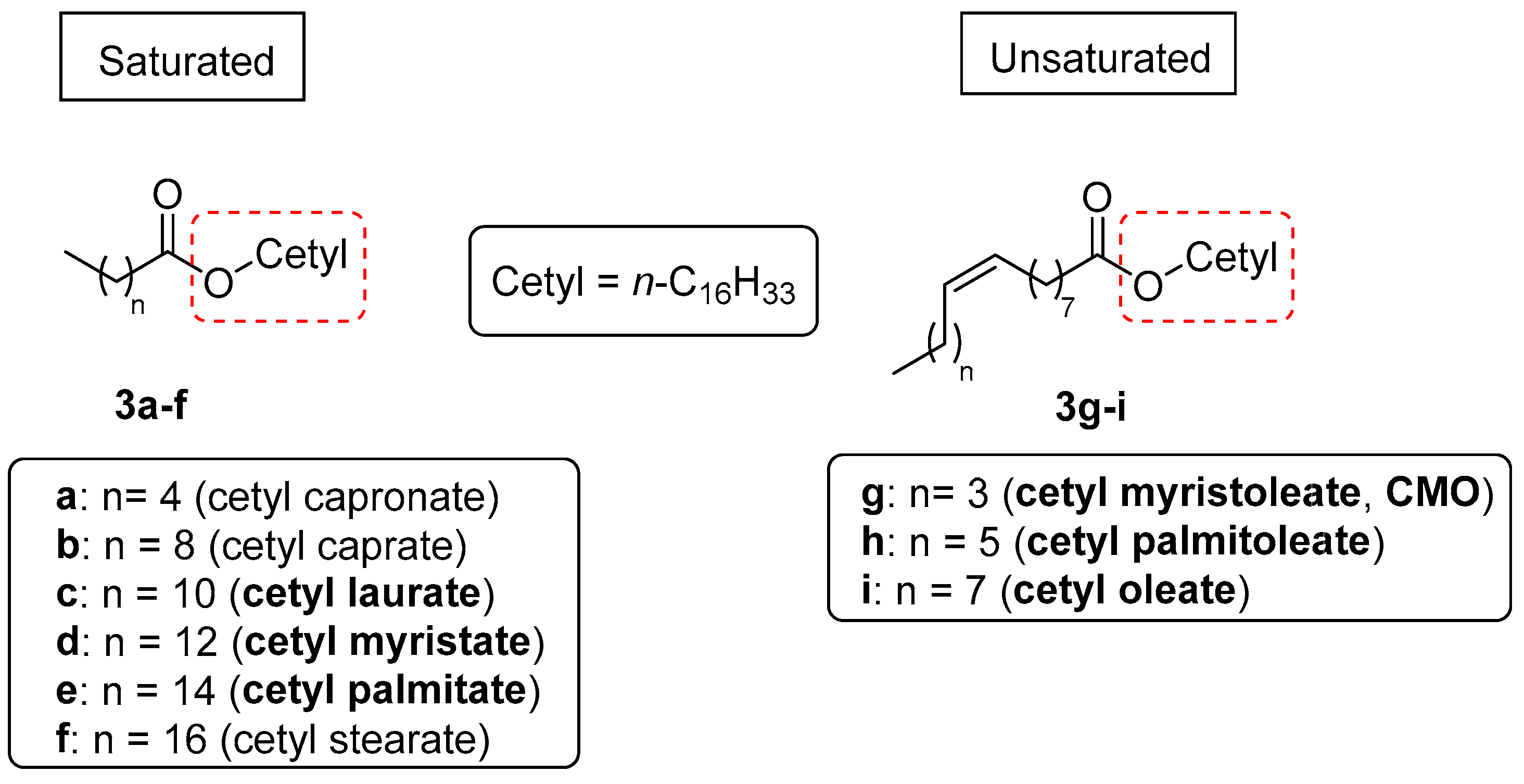 Biomolecules 15 00363 g002