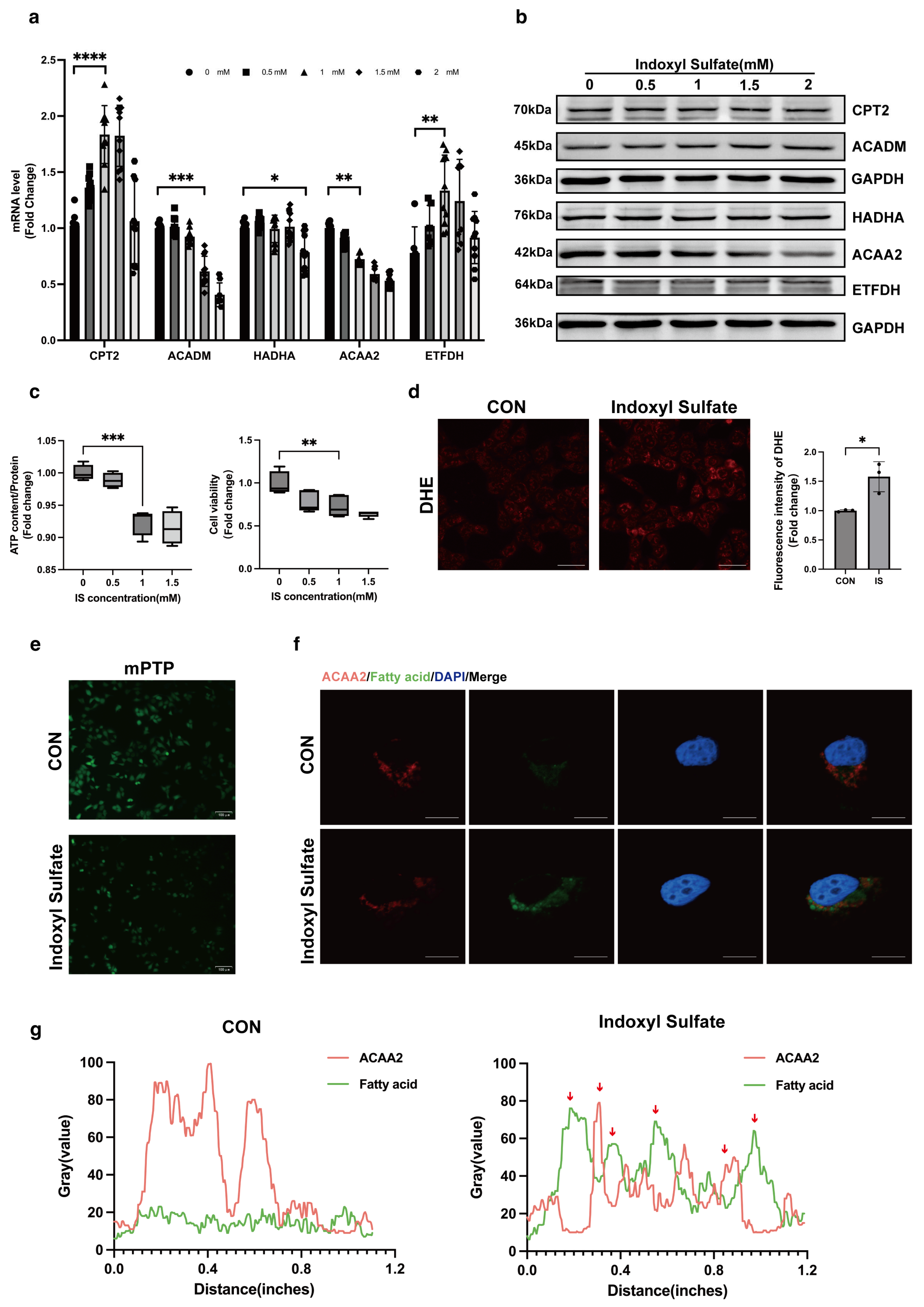 Biomolecules 15 00364 g002