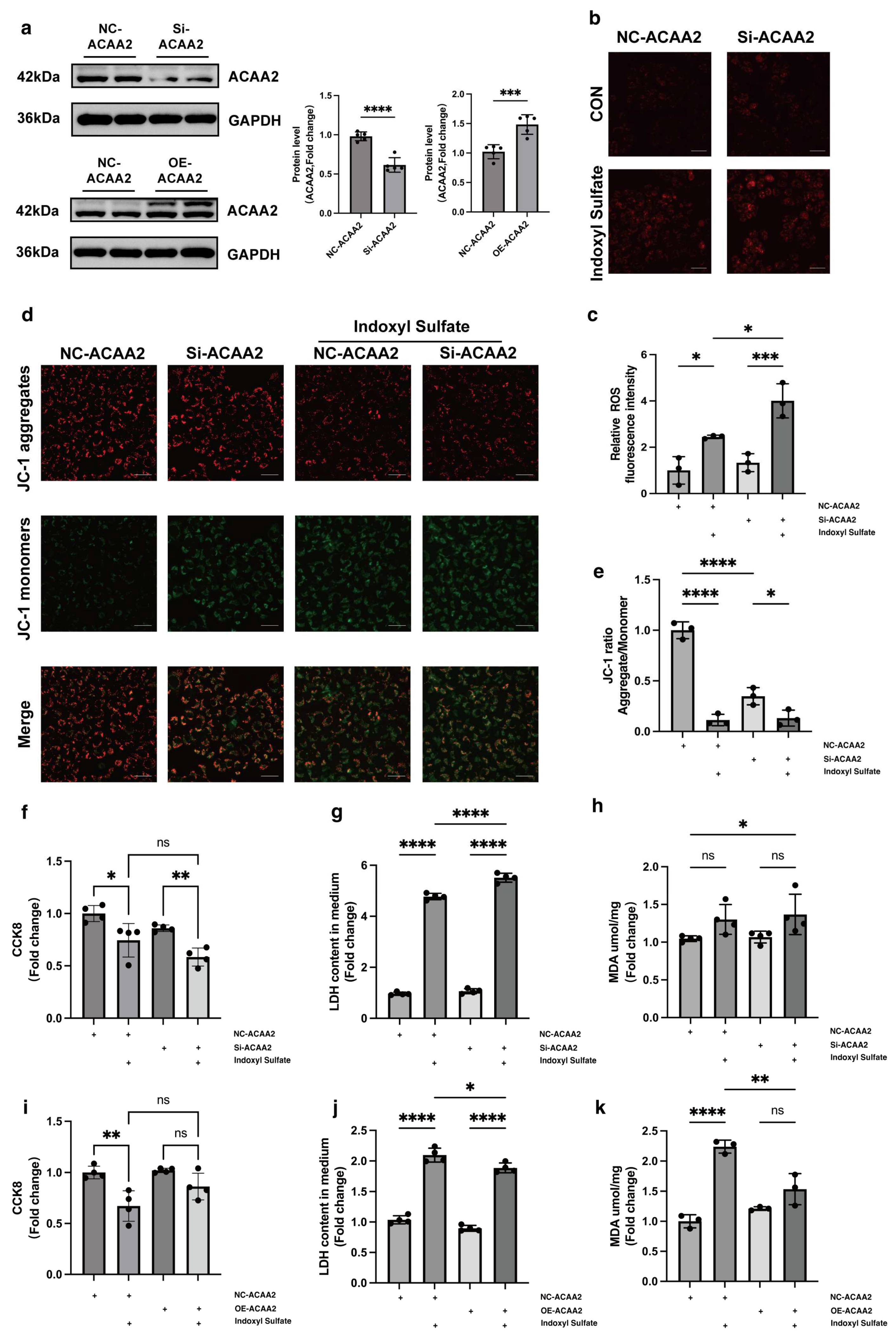 Biomolecules 15 00364 g003
