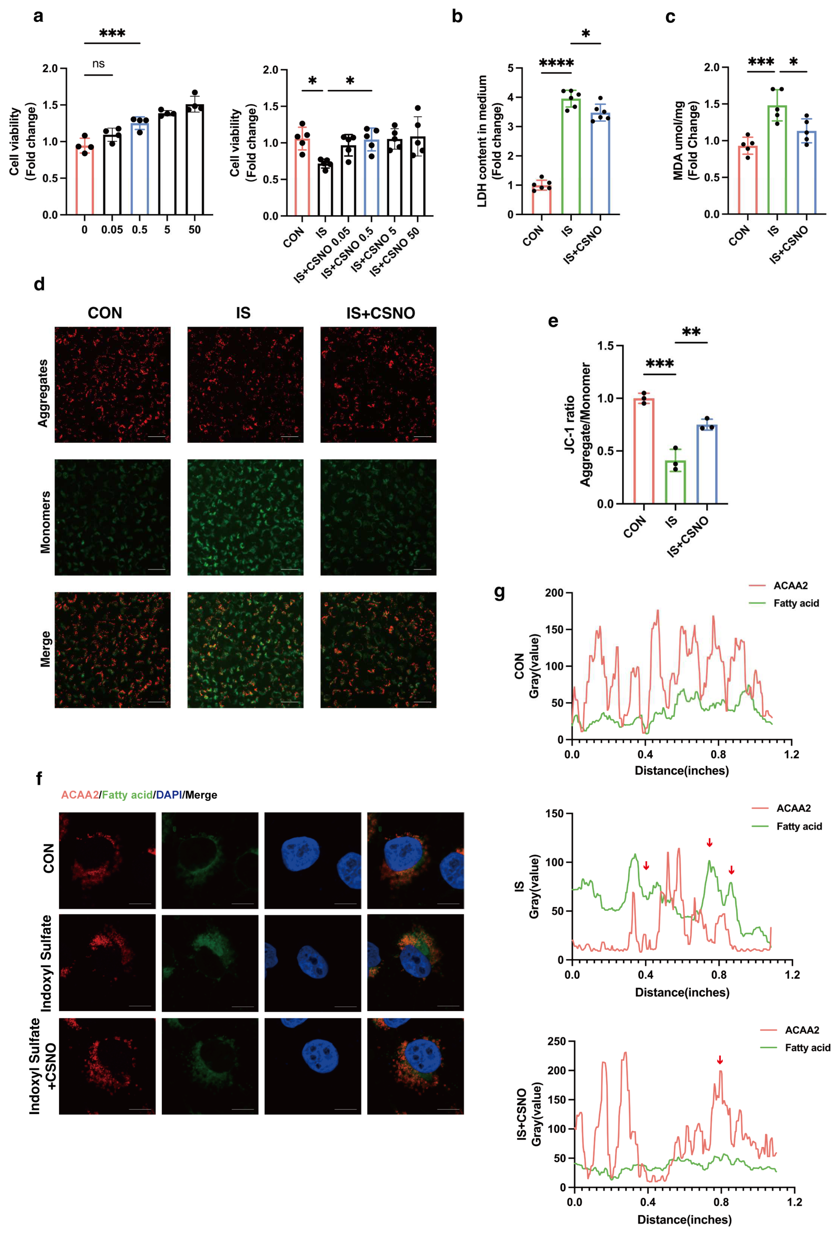 Biomolecules 15 00364 g005