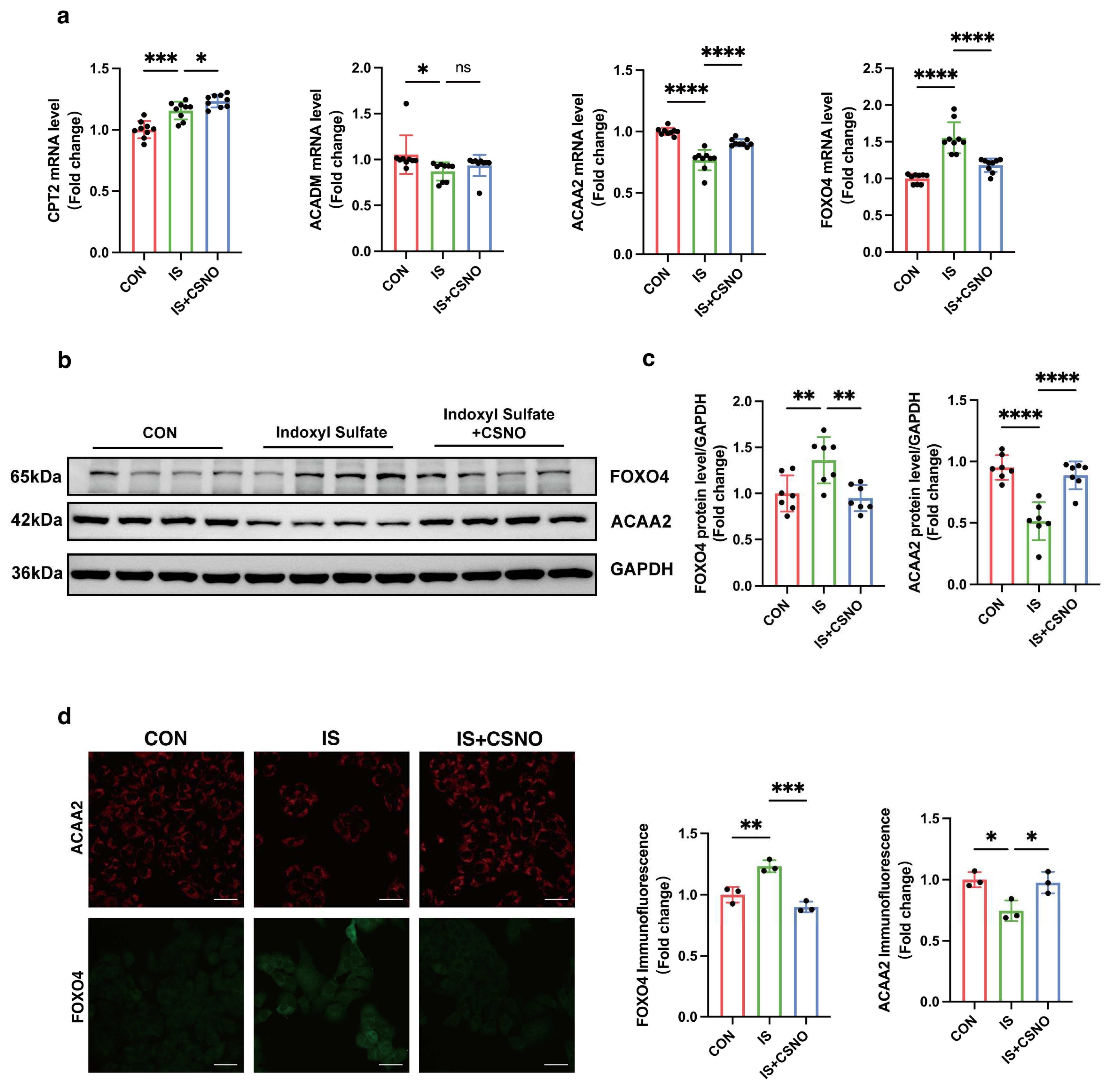 Biomolecules 15 00364 g006