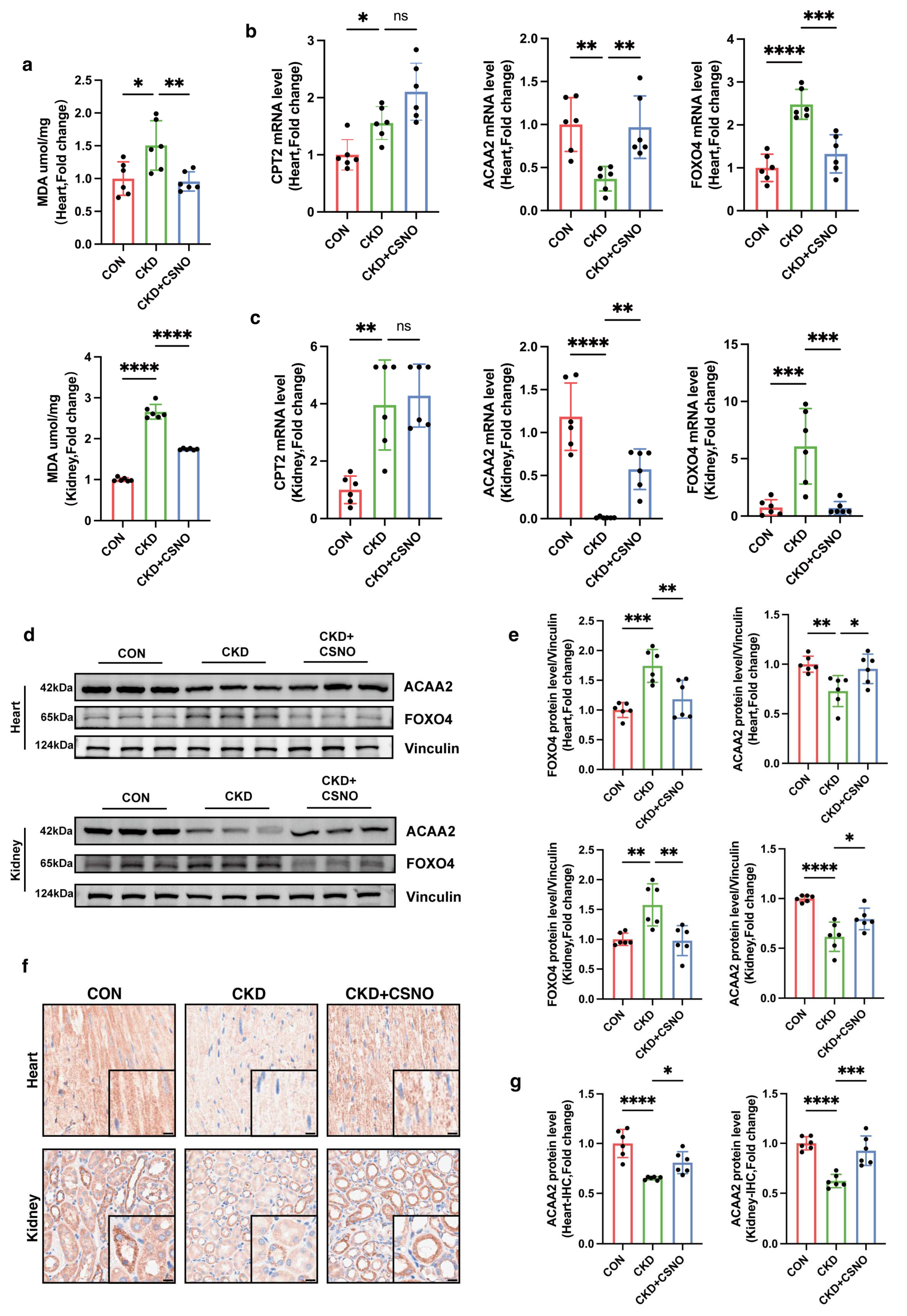 Biomolecules 15 00364 g008