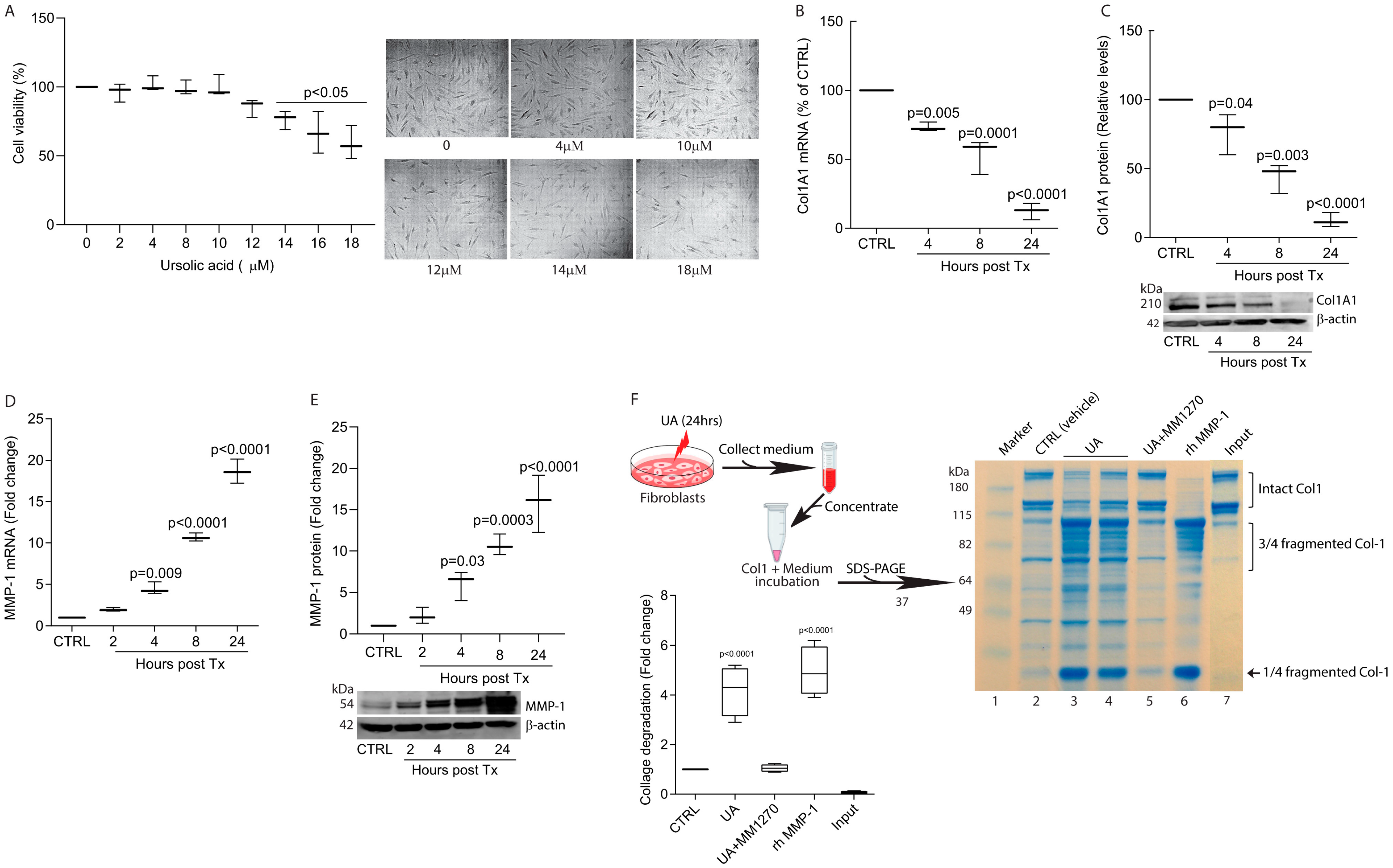 Biomolecules 15 00365 g001