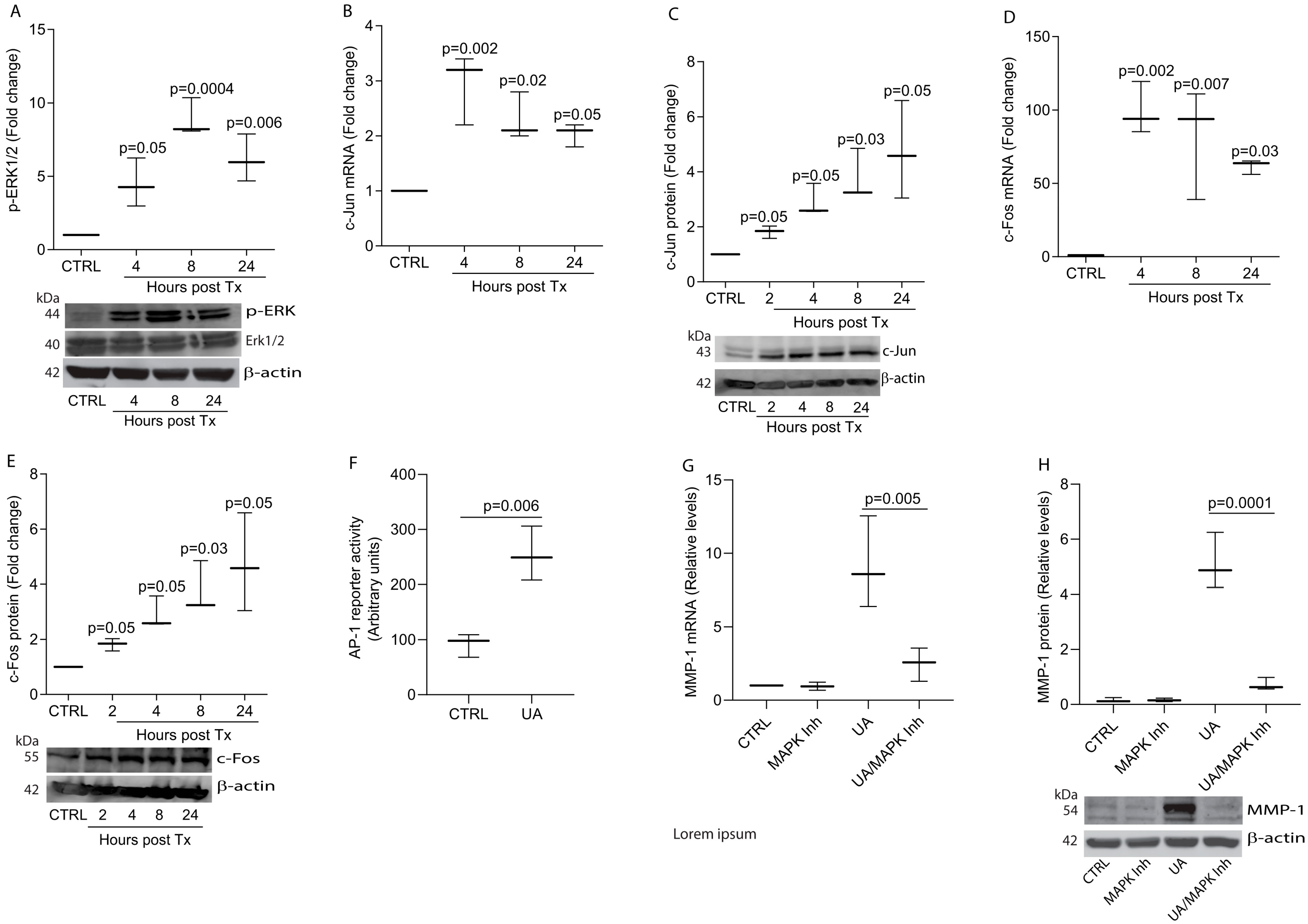 Biomolecules 15 00365 g003