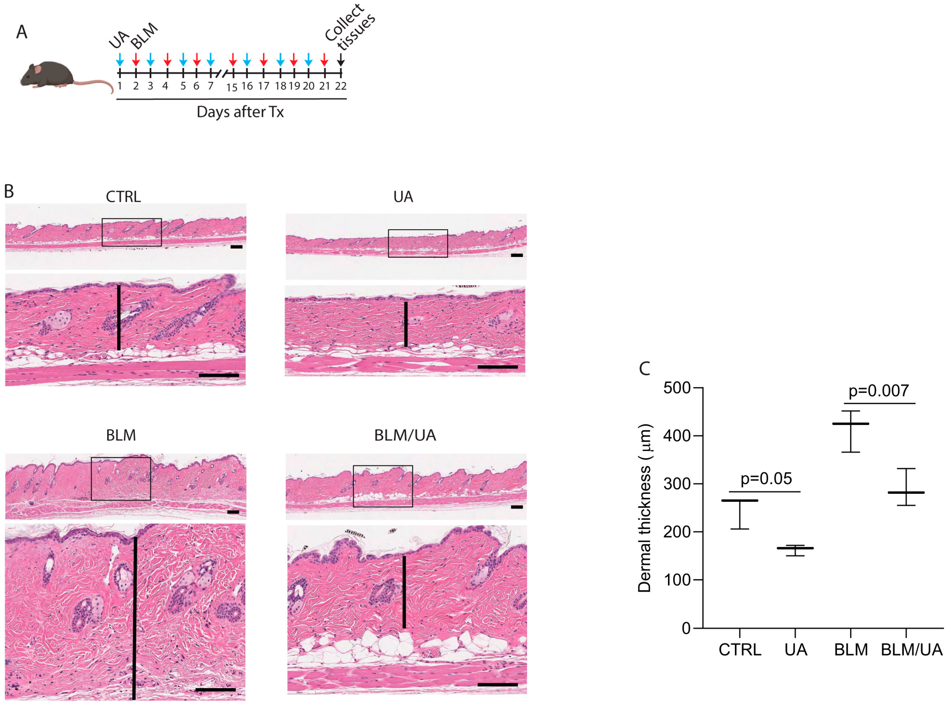 Biomolecules 15 00365 g004