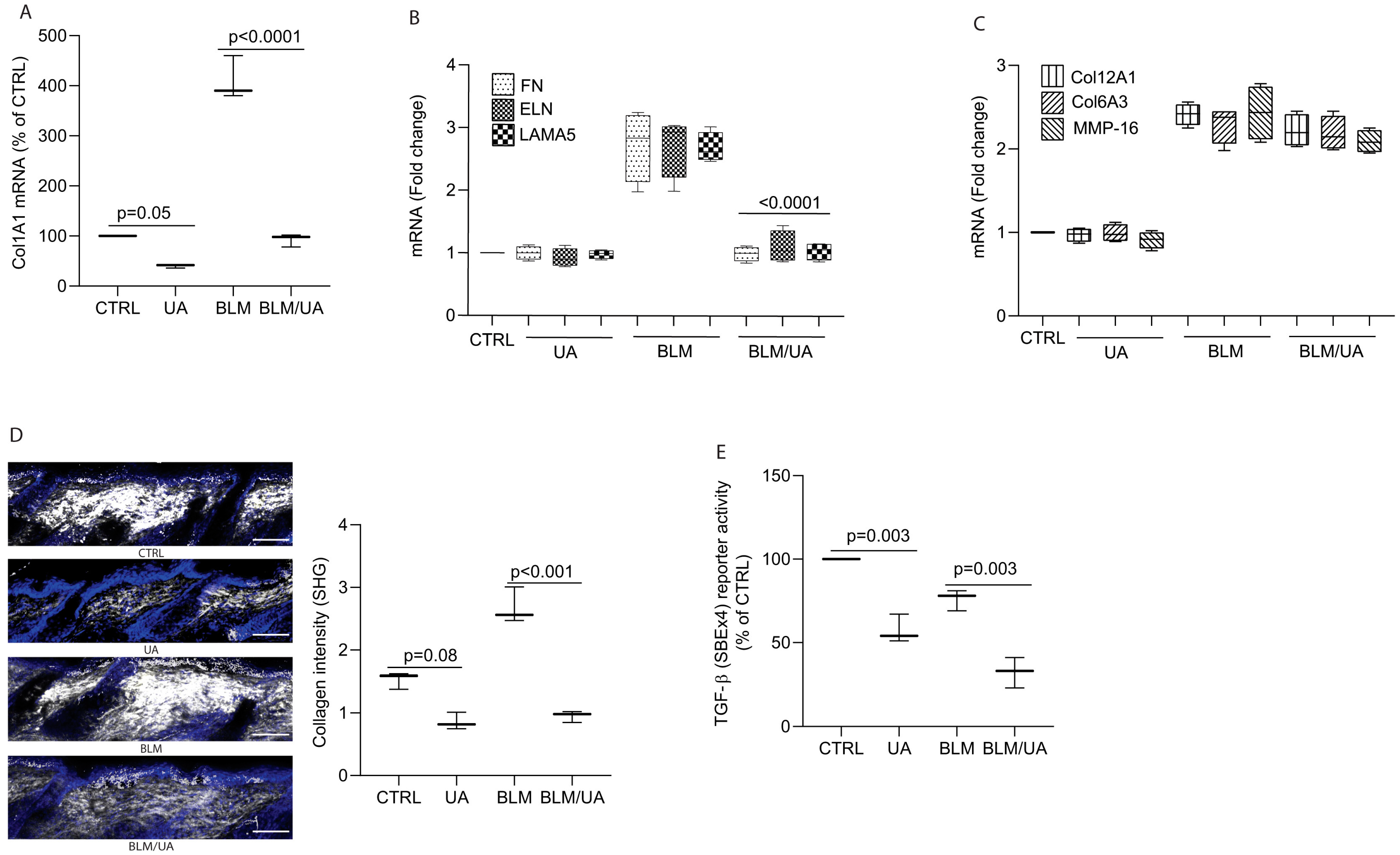 Biomolecules 15 00365 g005