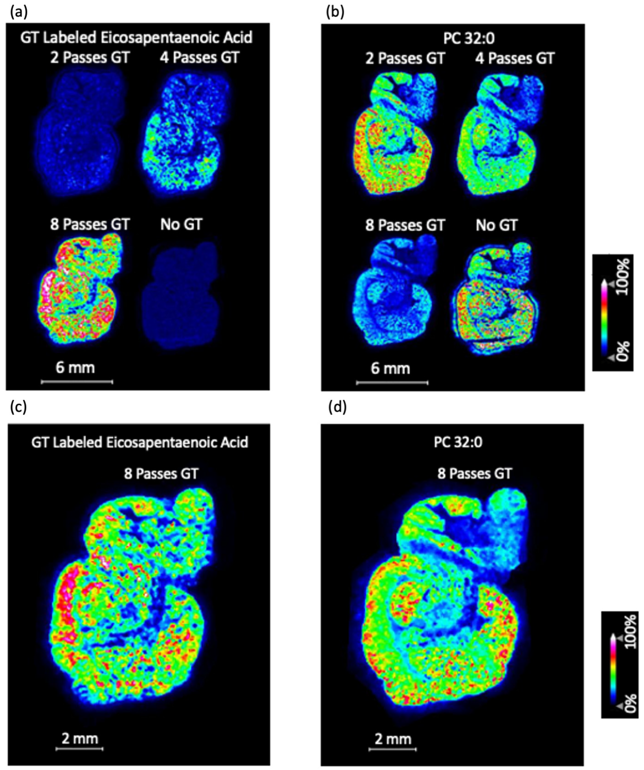 Biomolecules 15 00366 g003