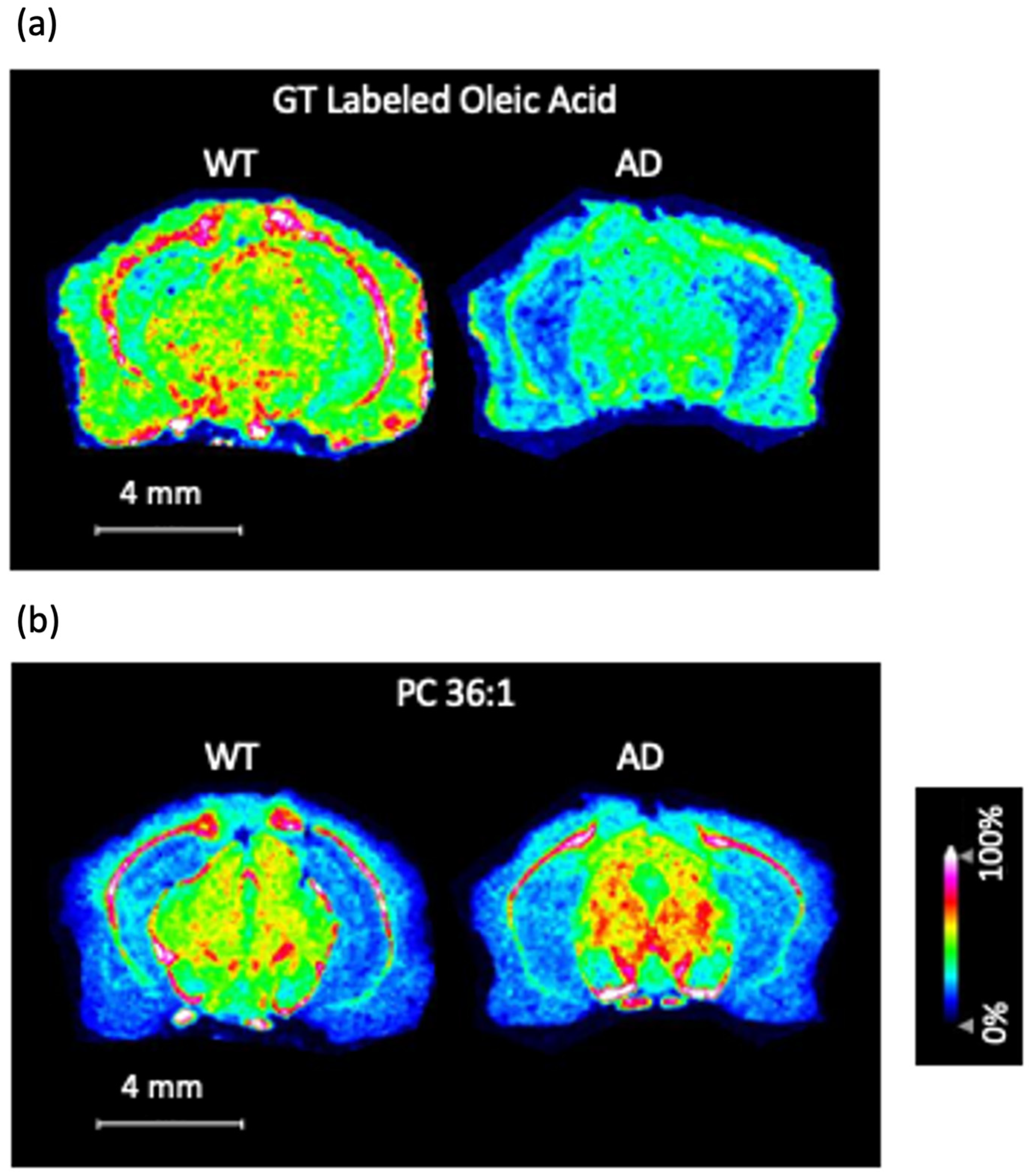 Biomolecules 15 00366 g004