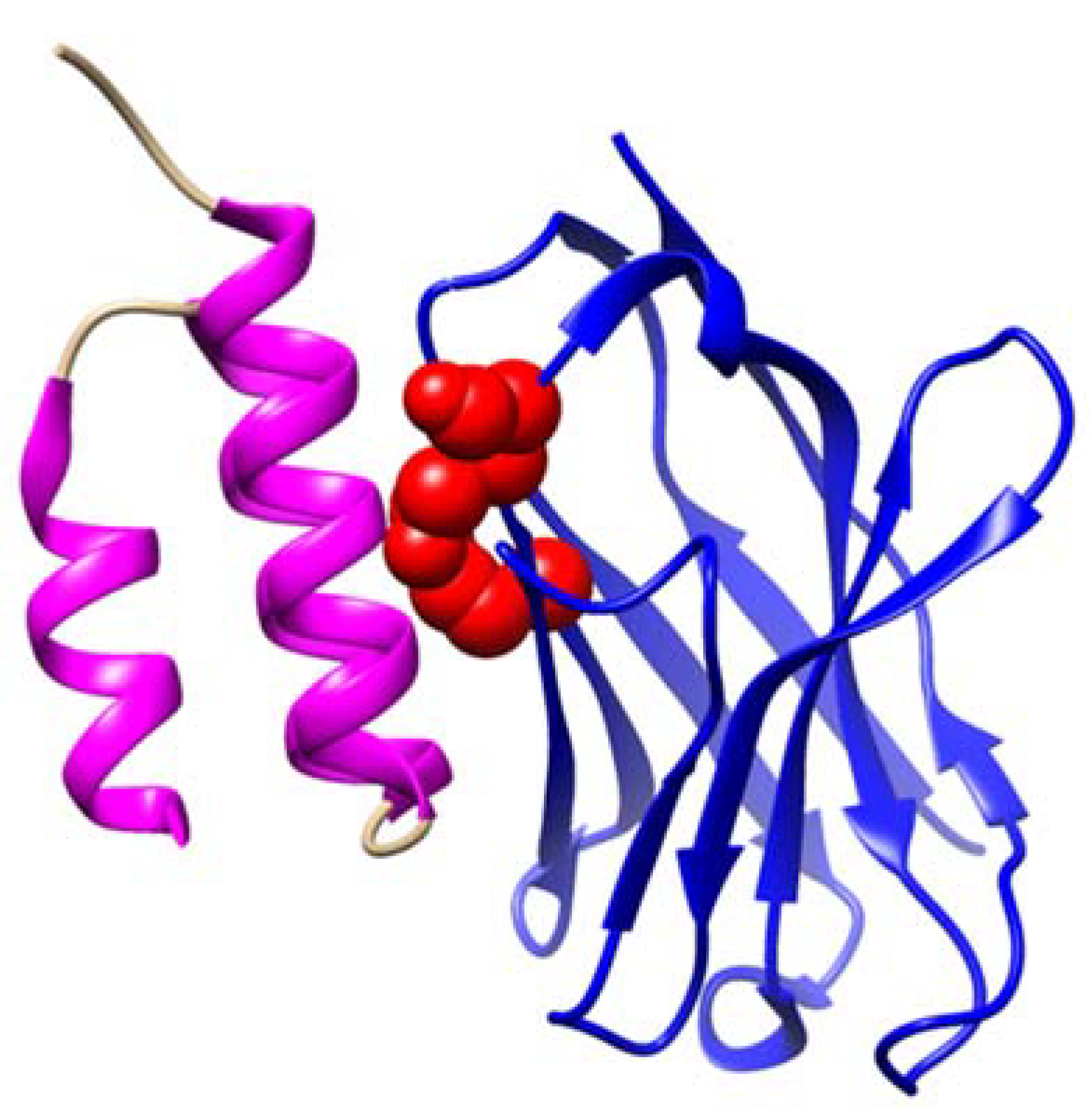 Biomolecules 15 00369 g002 Biomolecules 15 00369 g002