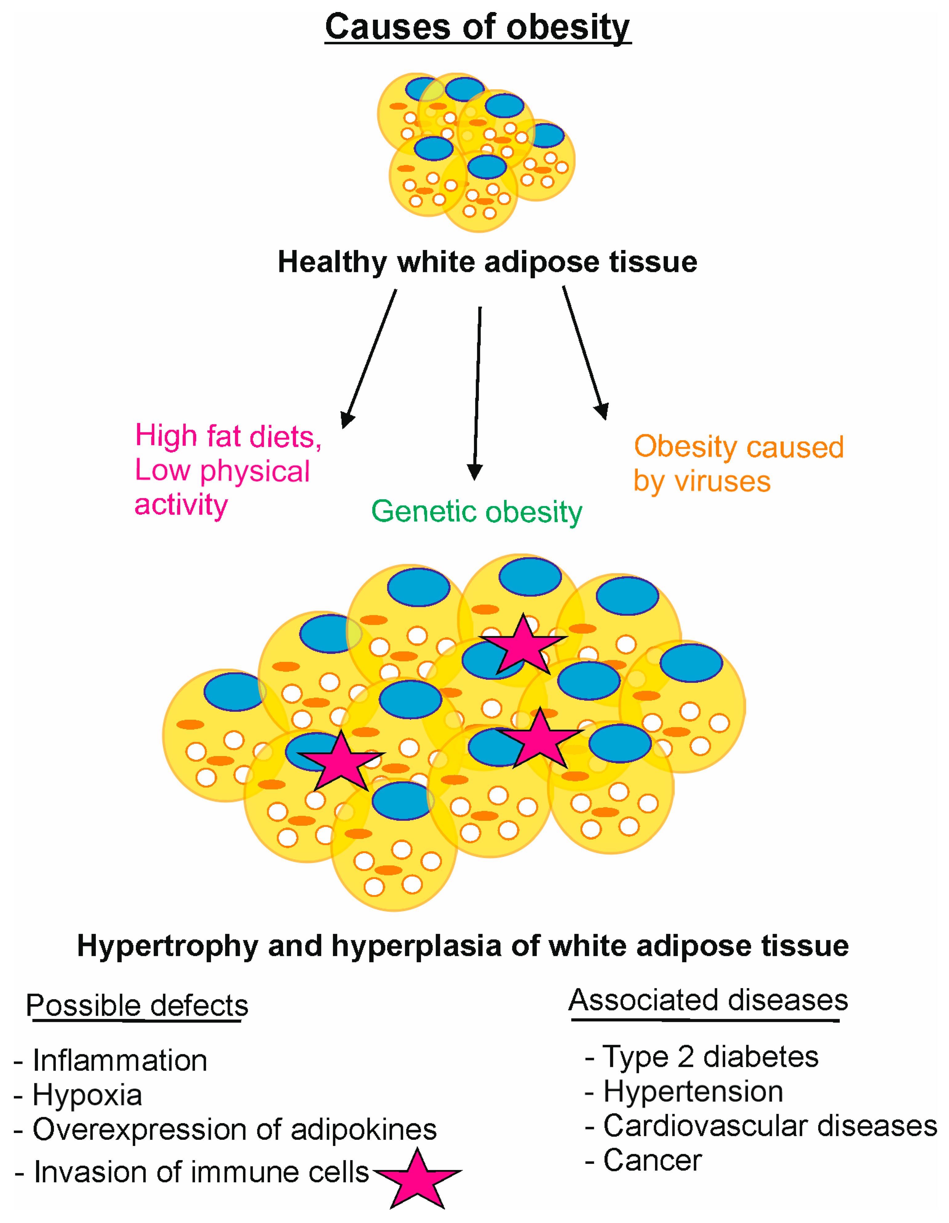 Ｓ Hyperprolactinemia and male sexual function: focus on