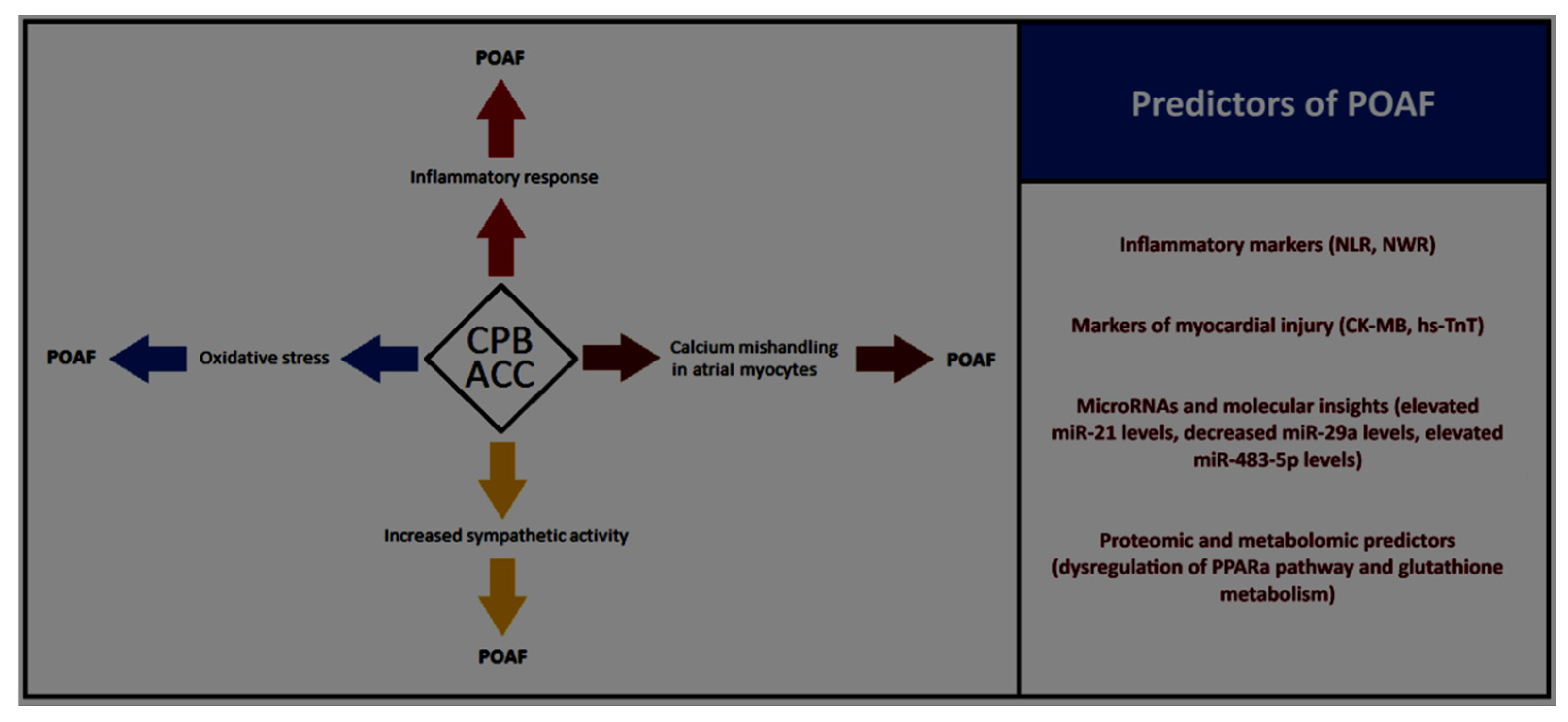 Biomolecules 15 00374 g001 Biomolecules 15 00374 g001