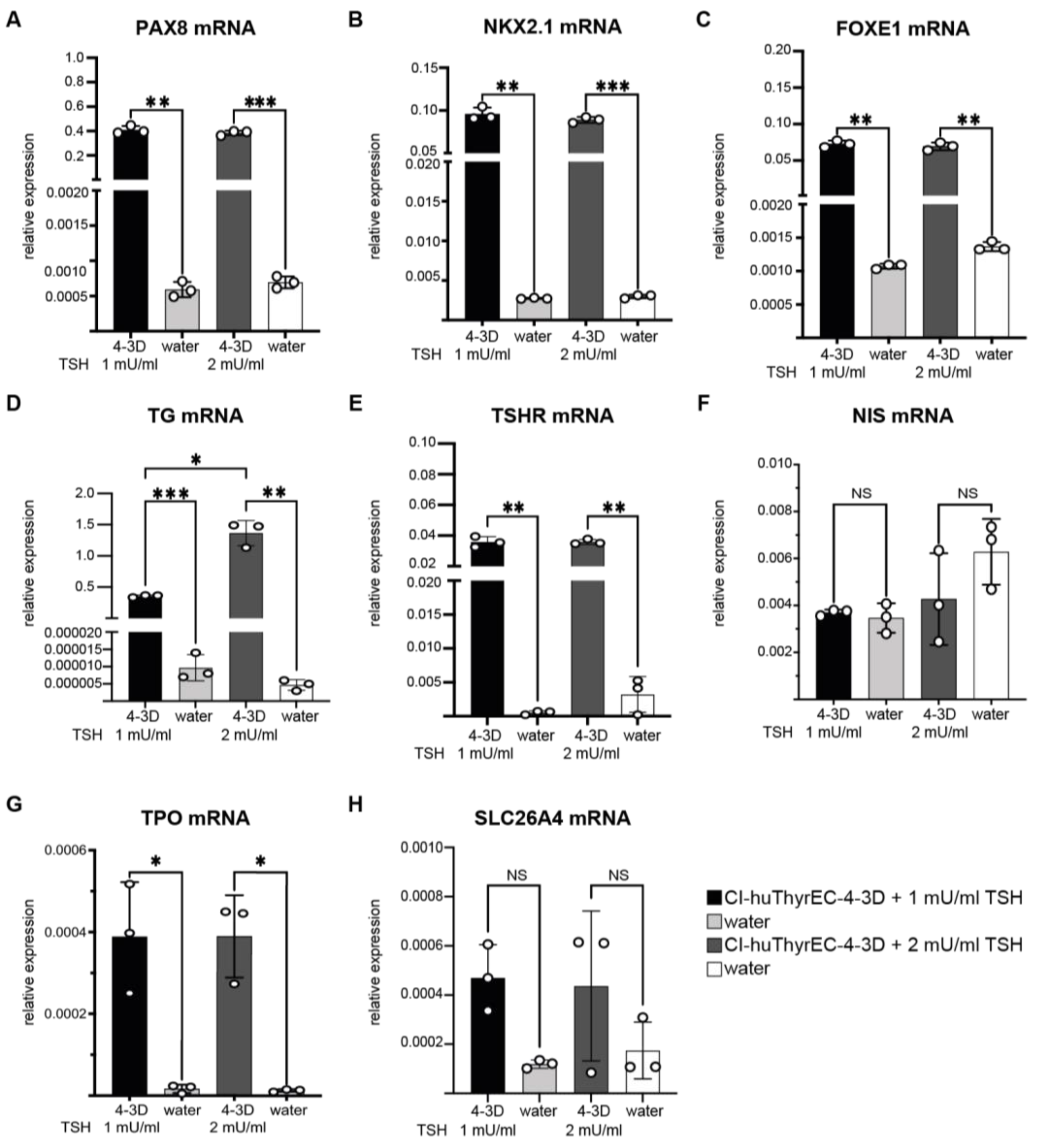 Biomolecules 15 00375 g005