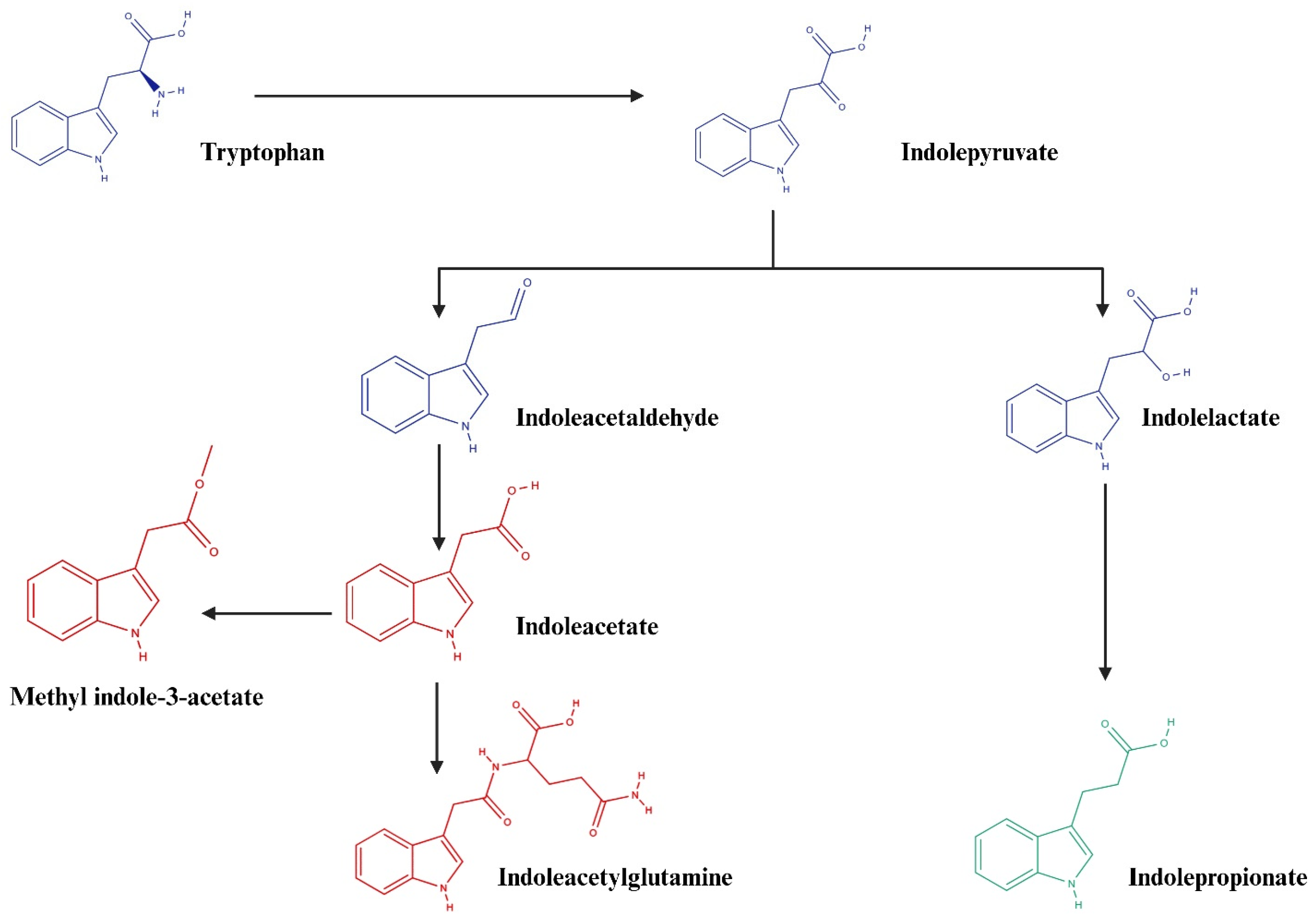 Biomolecules 15 00377 g004