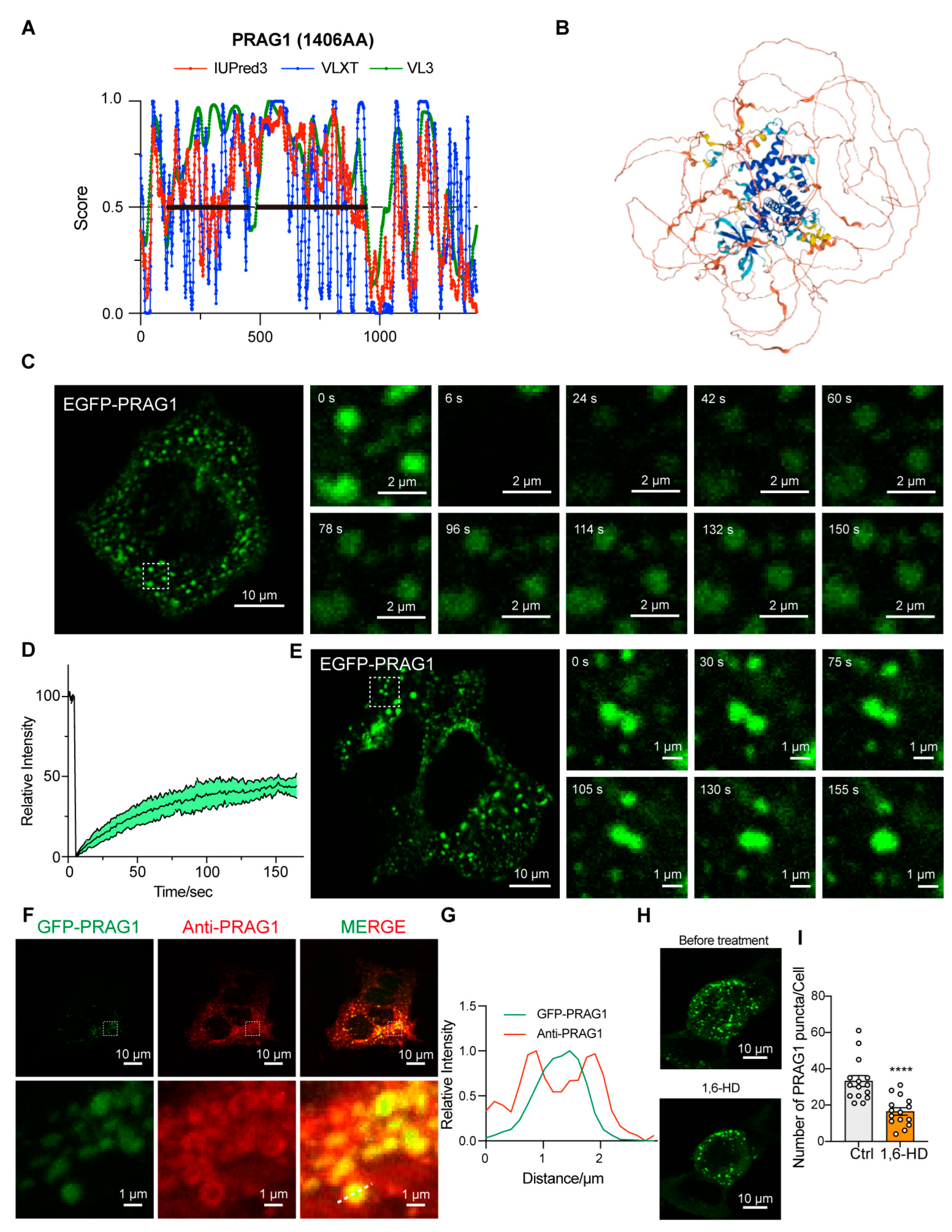 Biomolecules 15 00379 g001