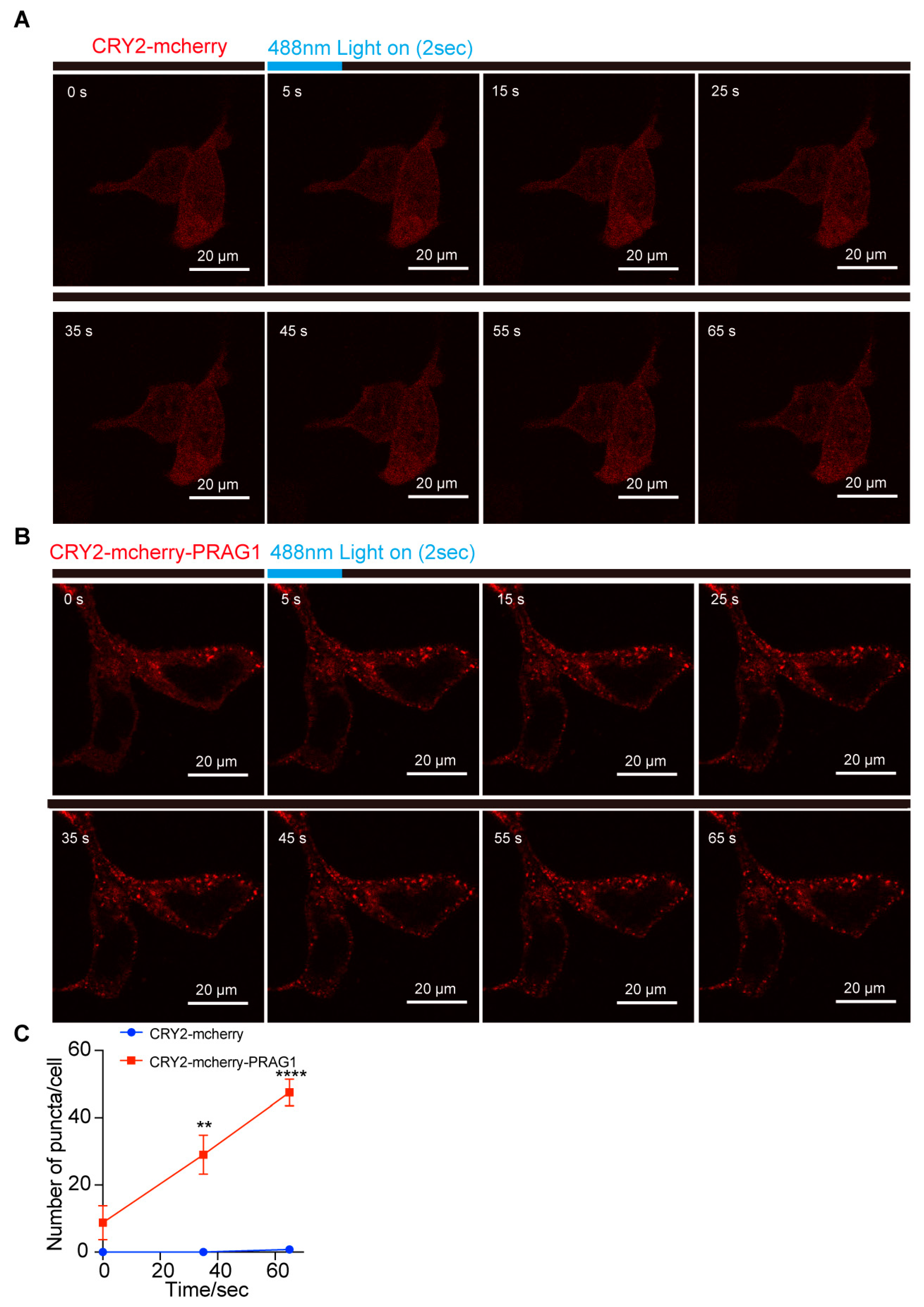 Biomolecules 15 00379 g003