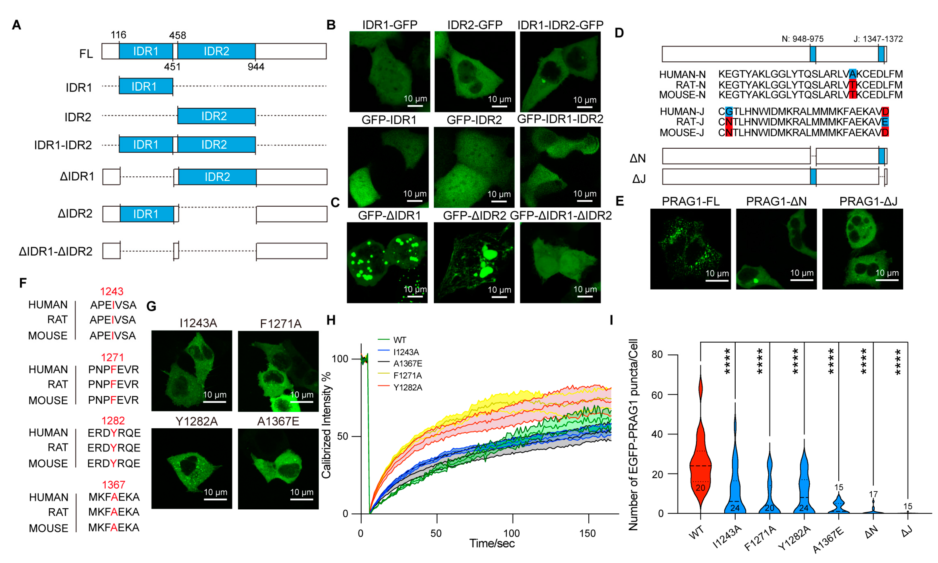 Biomolecules 15 00379 g004