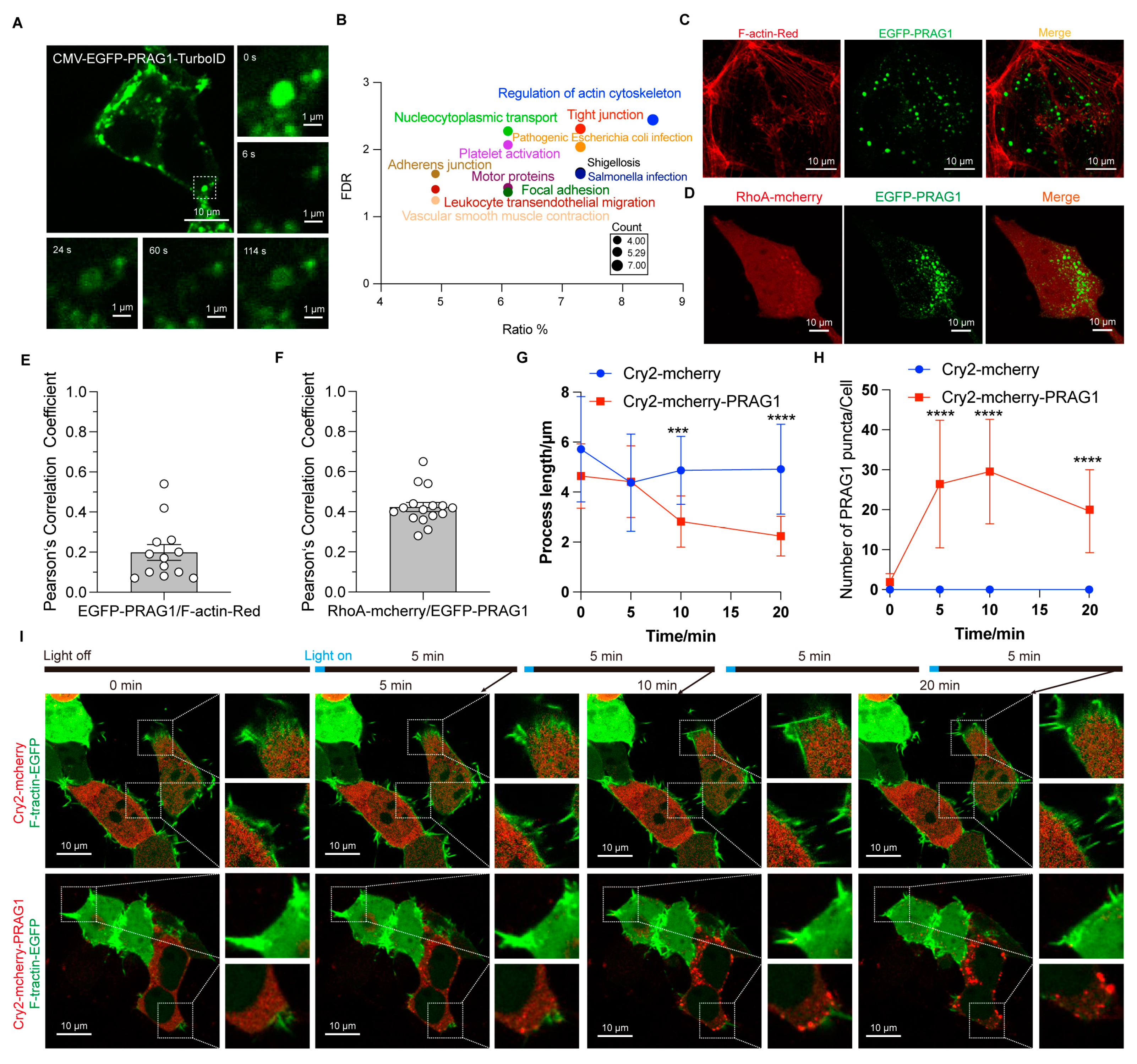 Biomolecules 15 00379 g005