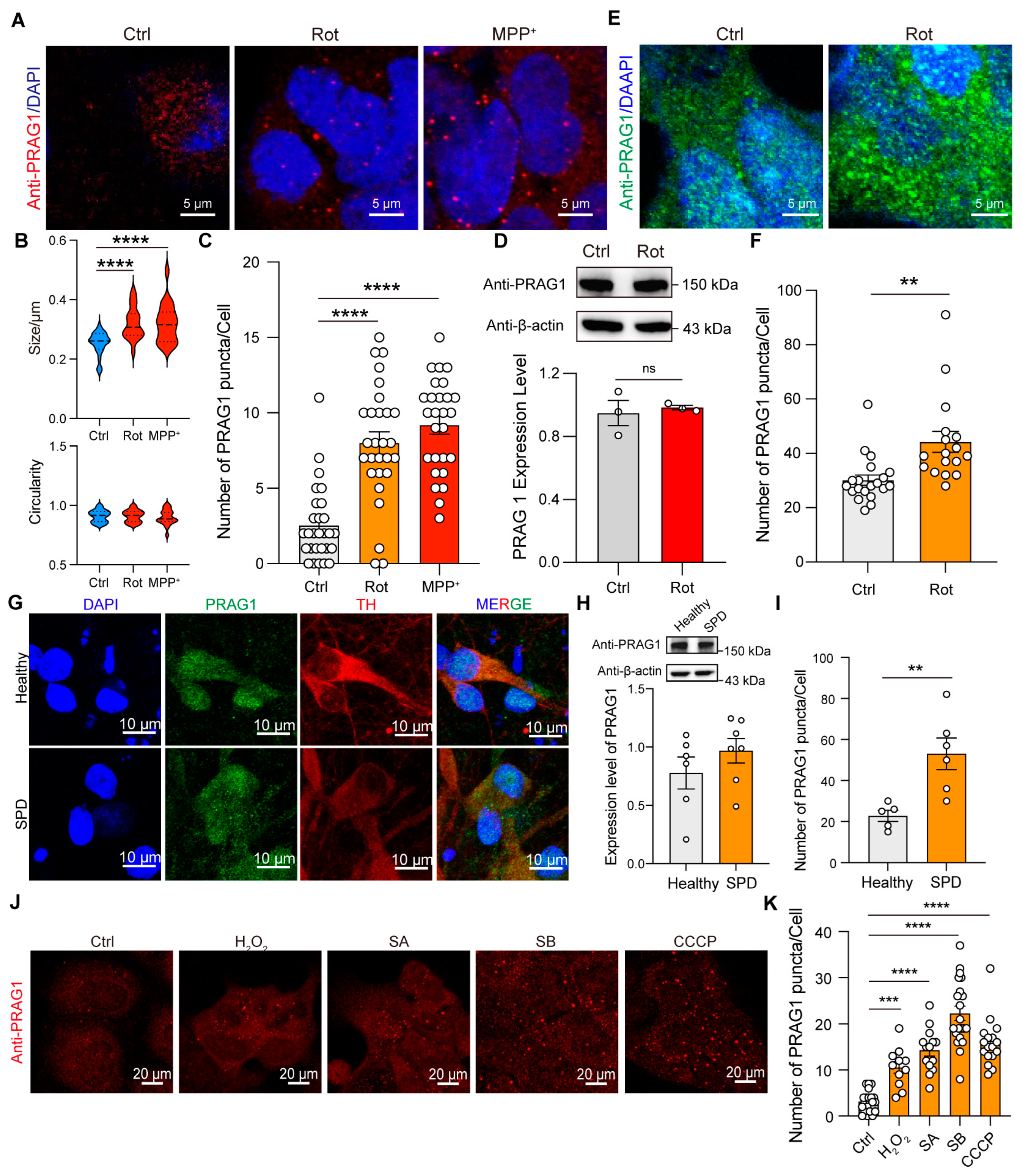 Biomolecules 15 00379 g006