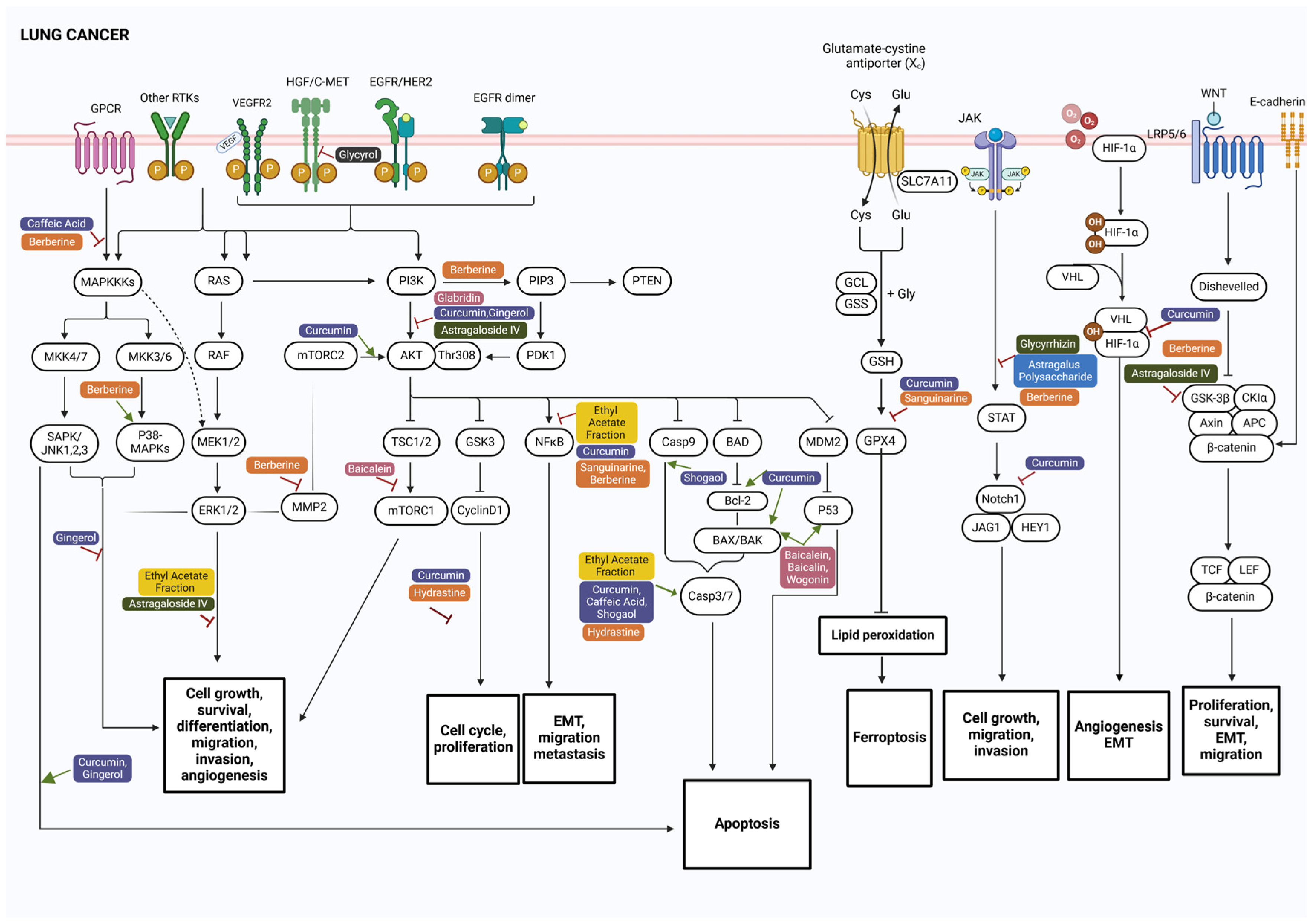 Biomolecules 15 00380 g001
