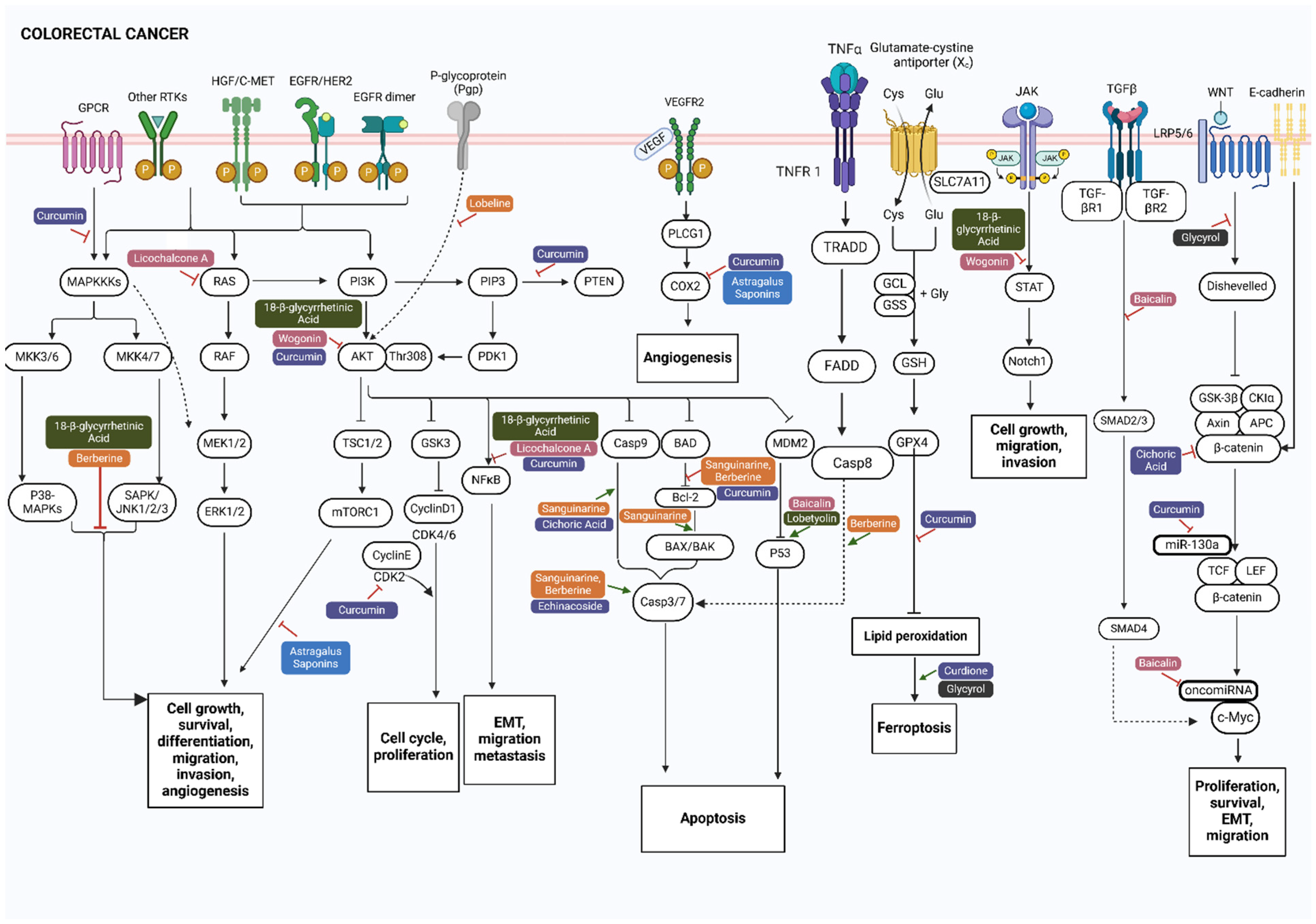 Biomolecules 15 00380 g002