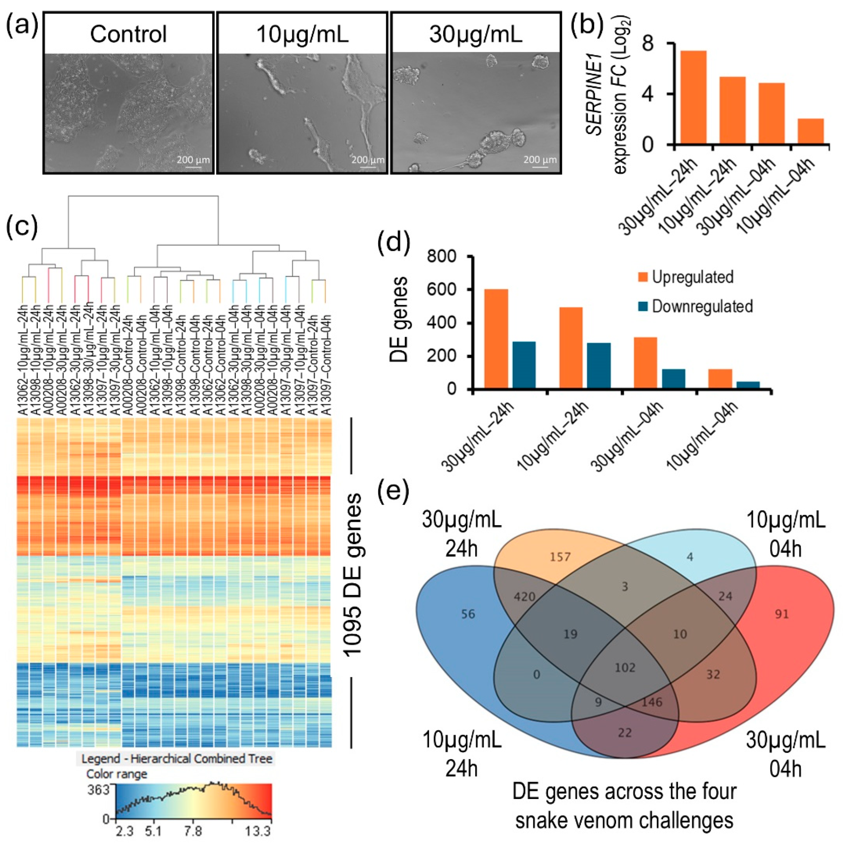 Biomolecules 15 00381 g002