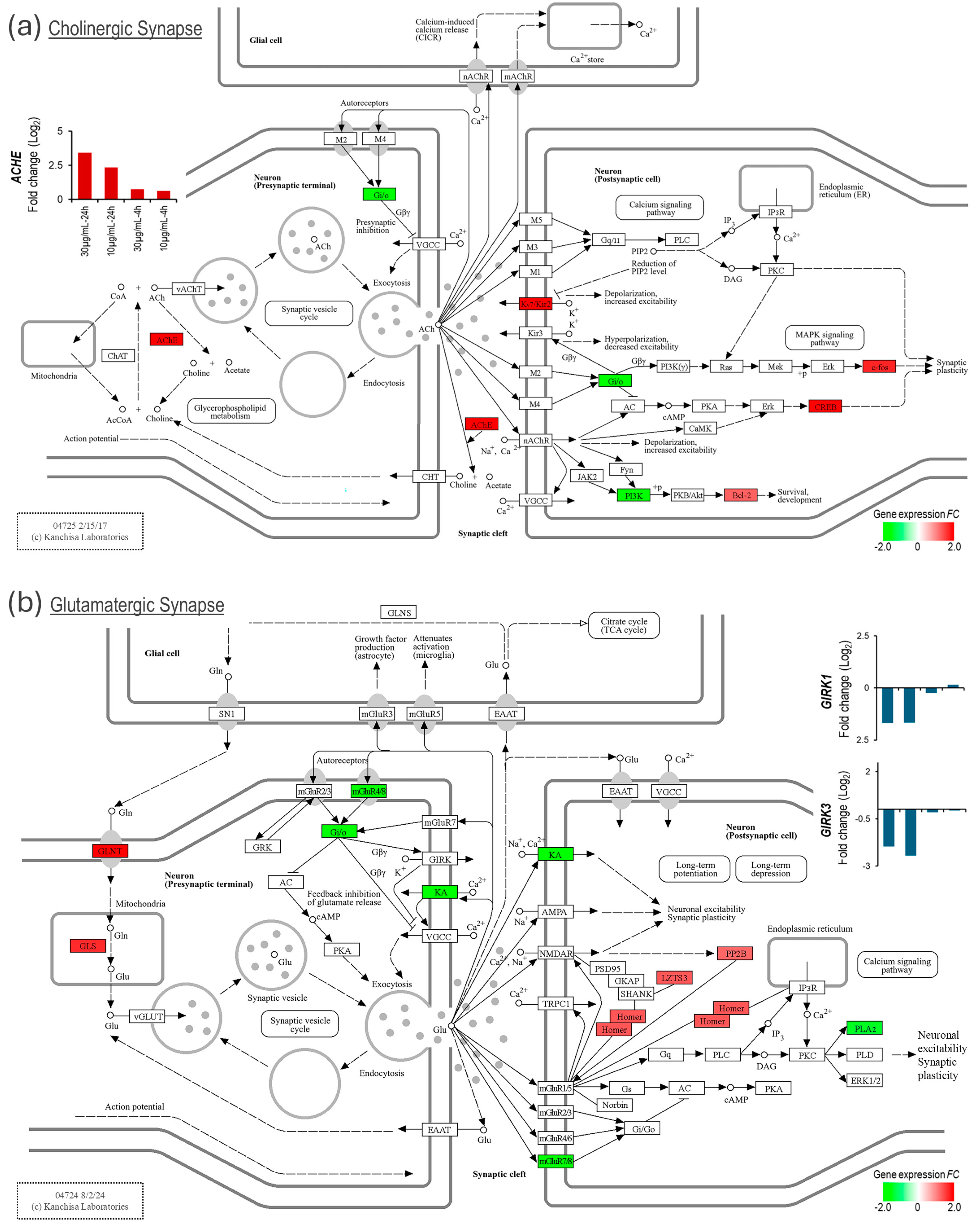 Biomolecules 15 00381 g005