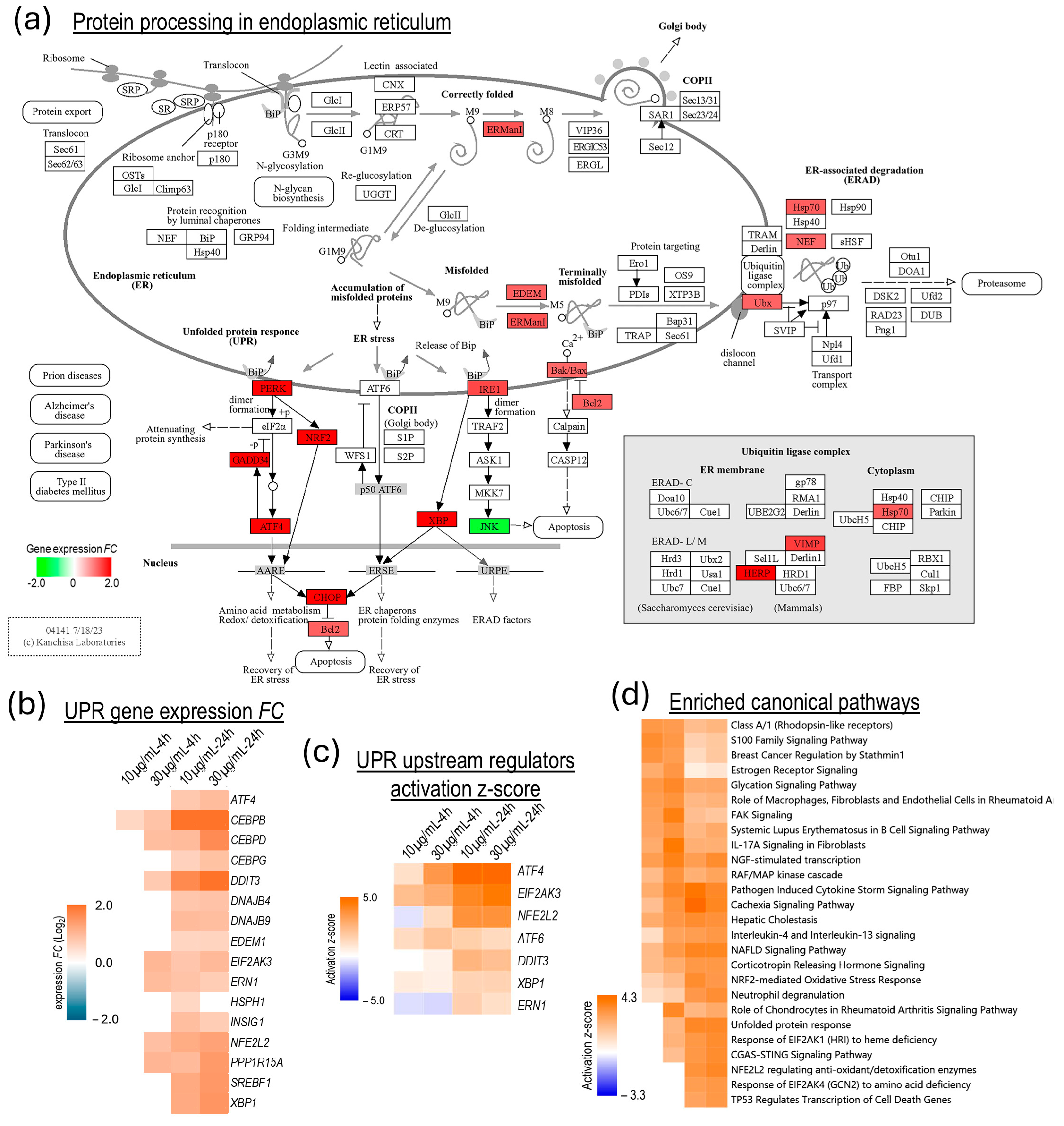 Biomolecules 15 00381 g006